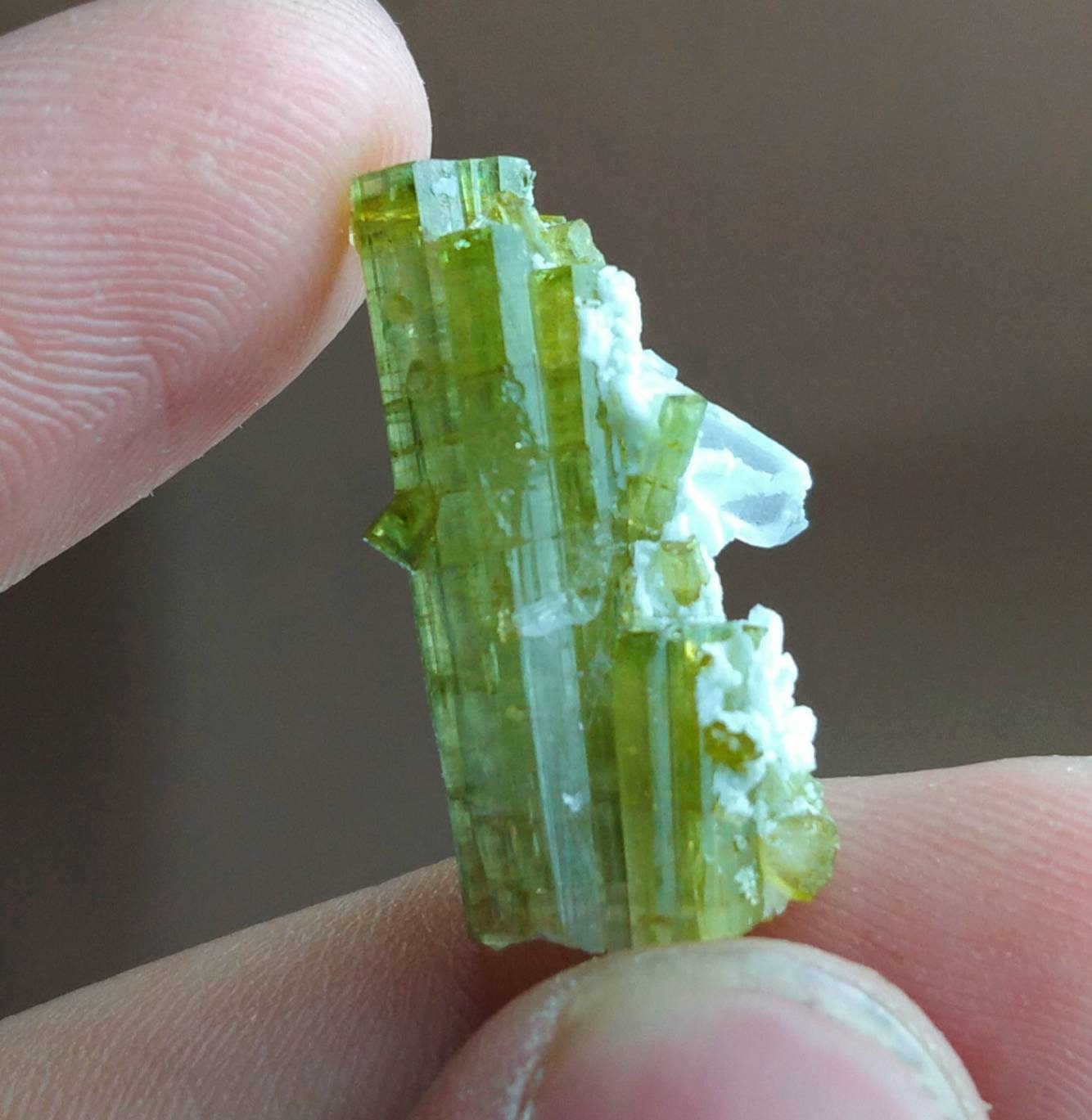 ARSAA GEMS AND MINERALSTerminated natural green tourmaline crystal with quartz on matrix from Skardu GilgitBaltistan Pakistan, weight: 3.3 grams - Premium  from ARSAA GEMS AND MINERALS - Just $50.00! Shop now at ARSAA GEMS AND MINERALS
