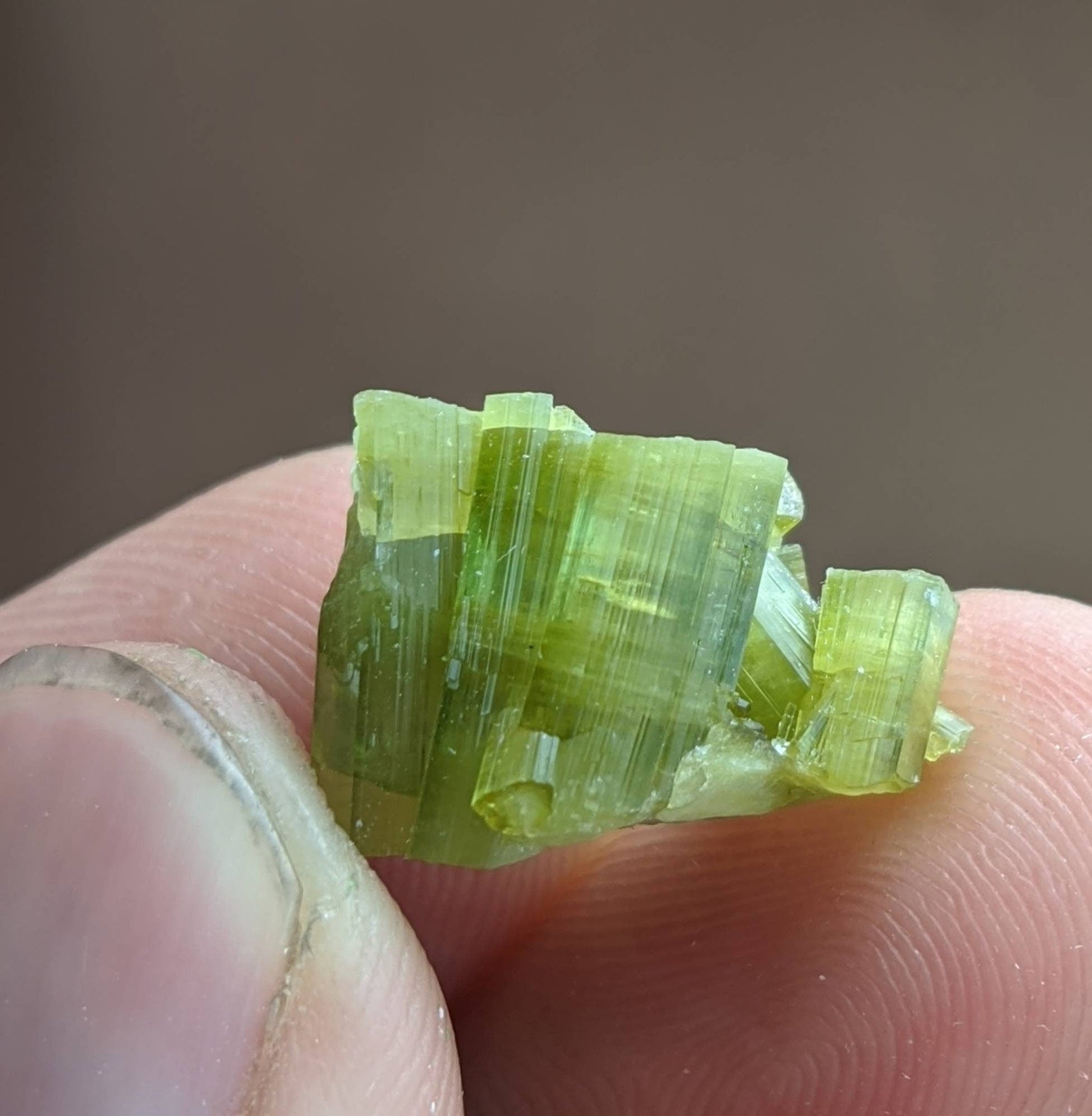 ARSAA GEMS AND MINERALSGreen tourmaline cluster from Skardu GilgitBaltistan Pakistan, weight 2.9 grams - Premium  from ARSAA GEMS AND MINERALS - Just $15.00! Shop now at ARSAA GEMS AND MINERALS