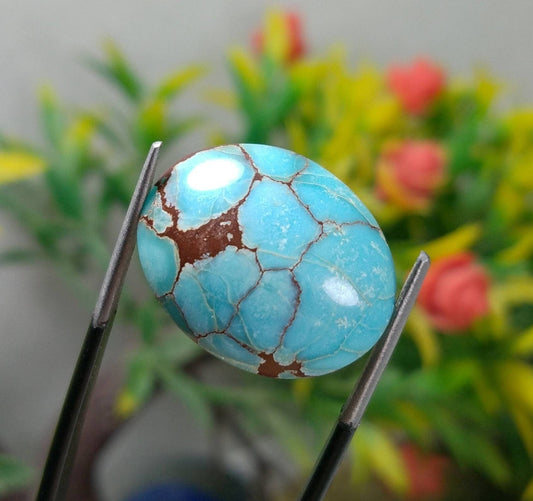 ARSAA GEMS AND MINERALSNatural top quality beautiful 14 carats spider web Egyptian turquoise cabochon - Premium  from ARSAA GEMS AND MINERALS - Just $28.00! Shop now at ARSAA GEMS AND MINERALS