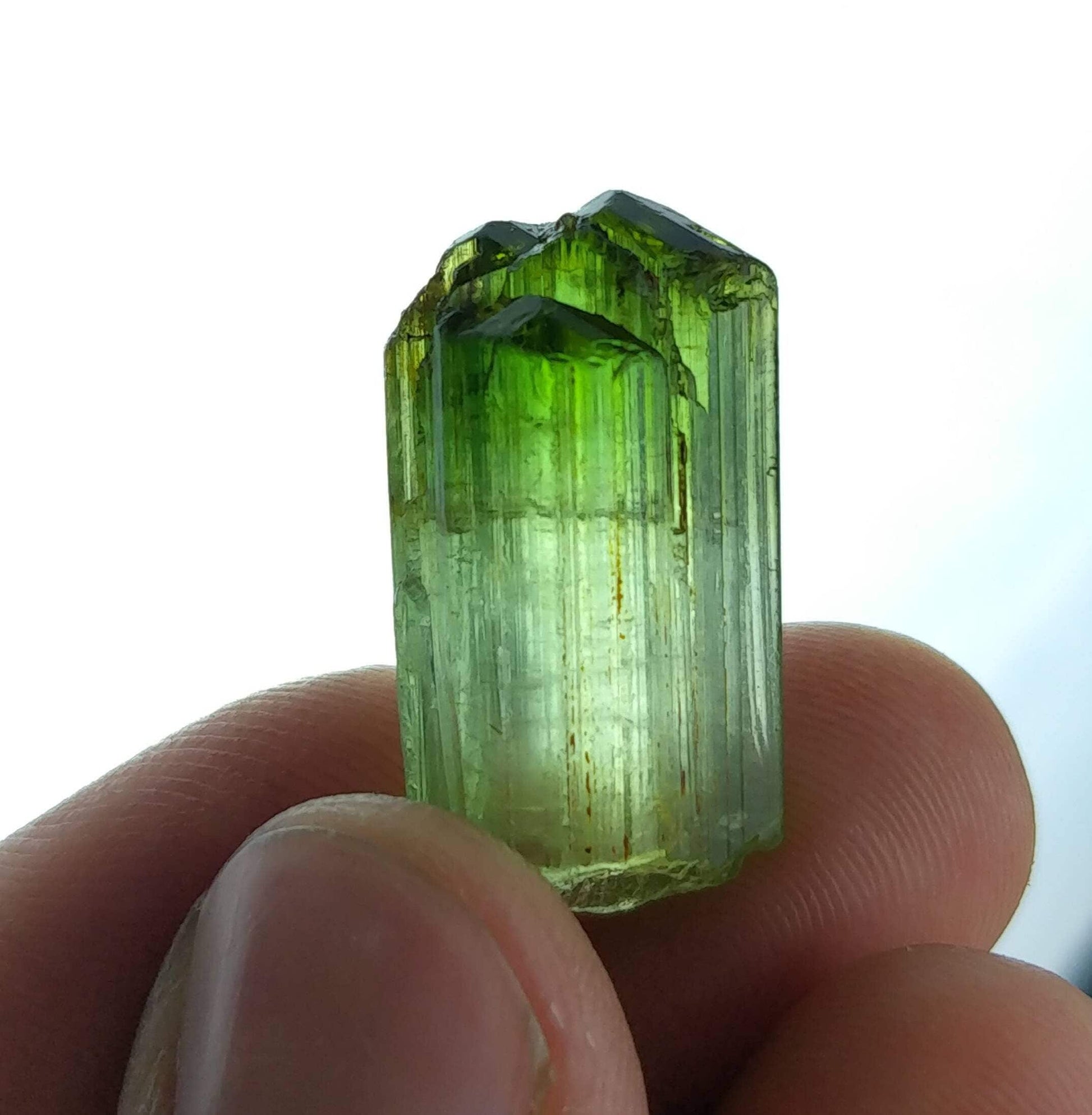 ARSAA GEMS AND MINERALSBicolor terminated tourmaline crystal 6.1 grams weight from Africa - Premium  from ARSAA GEMS AND MINERALS - Just $90.00! Shop now at ARSAA GEMS AND MINERALS