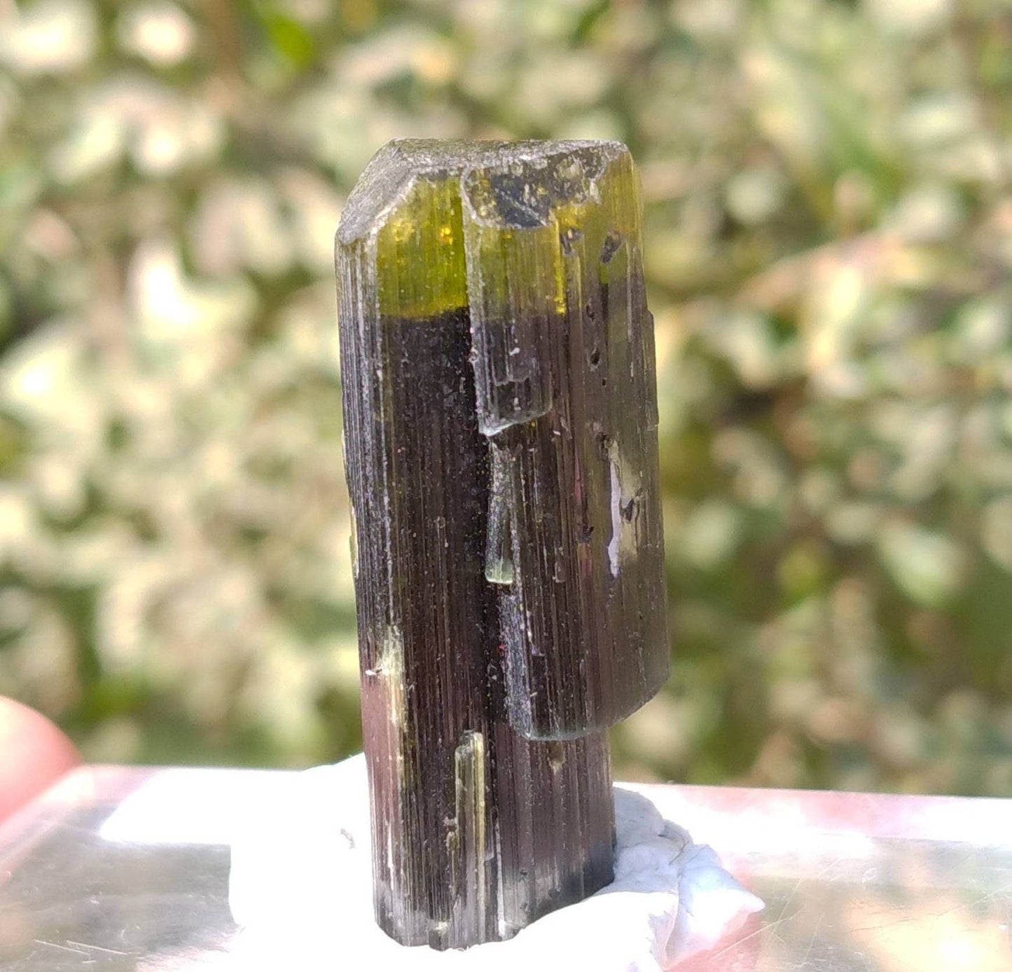 ARSAA GEMS AND MINERALSNatural top quality beautiful 14 grams terminated green cap Tourmaline crystal - Premium  from ARSAA GEMS AND MINERALS - Just $65.00! Shop now at ARSAA GEMS AND MINERALS