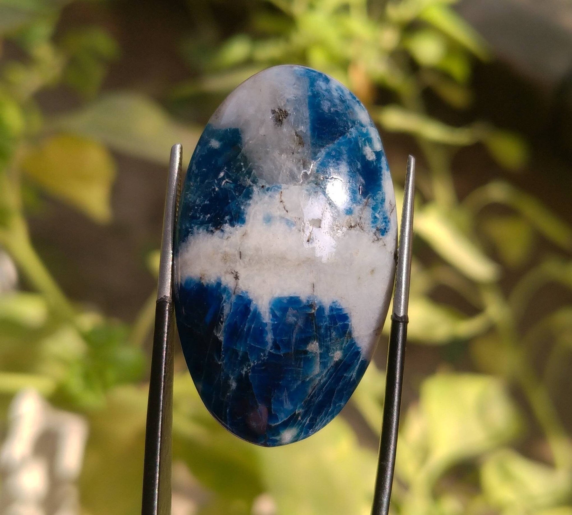 ARSAA GEMS AND MINERALSNatural top quality beautiful 32 carats oval shape afghan hauyne var.lazurite UV reactive Cabochon - Premium  from ARSAA GEMS AND MINERALS - Just $30.00! Shop now at ARSAA GEMS AND MINERALS