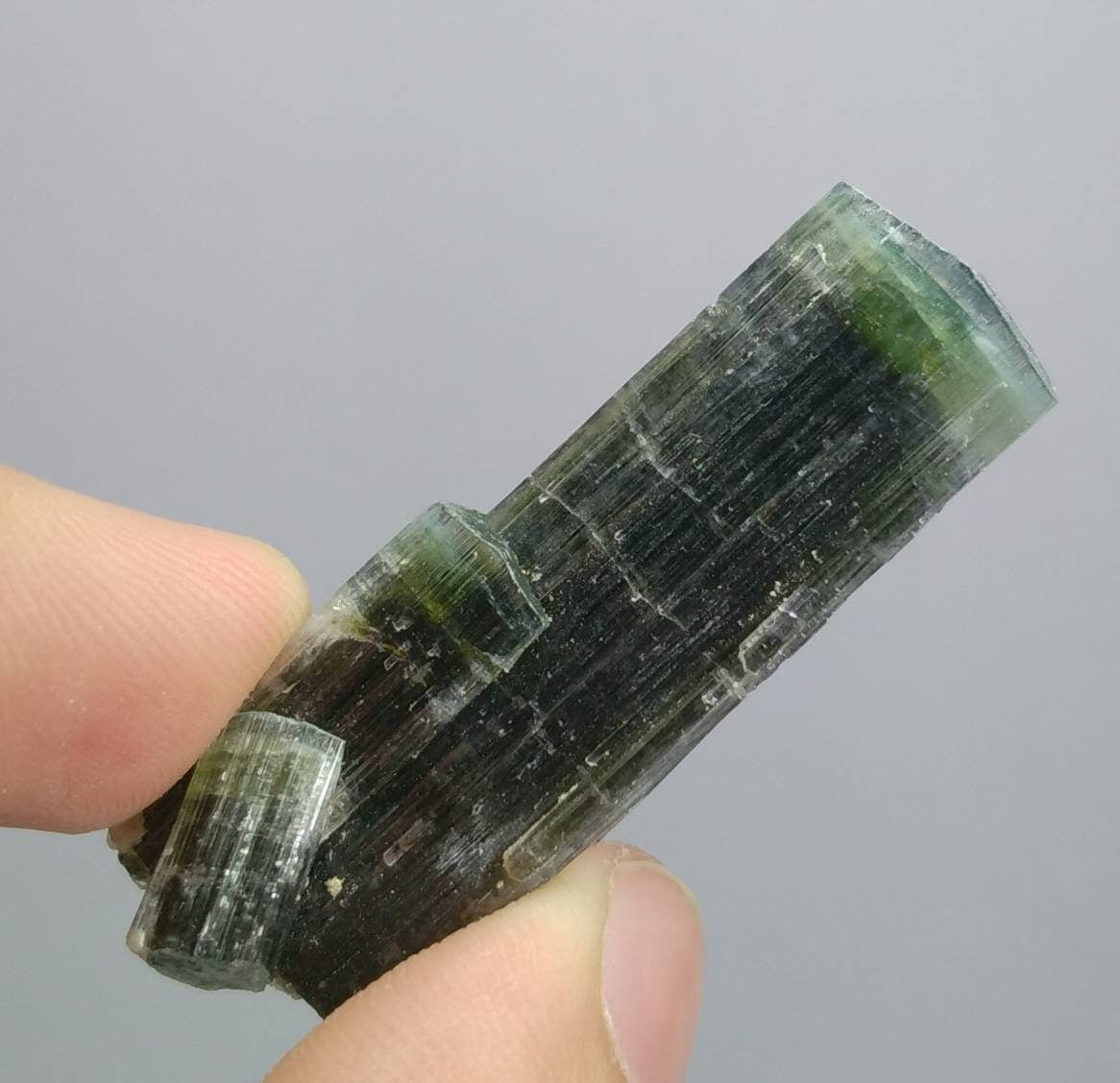 ARSAA GEMS AND MINERALSNatural top quality beautiful 15 grams double terminated green cap Tourmaline crystal - Premium  from ARSAA GEMS AND MINERALS - Just $80.00! Shop now at ARSAA GEMS AND MINERALS