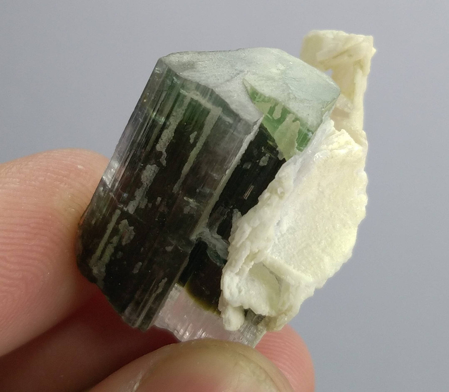 ARSAA GEMS AND MINERALSNatural top quality beautiful 12.7 grams terminated green cap Tourmaline crystal - Premium  from ARSAA GEMS AND MINERALS - Just $60.00! Shop now at ARSAA GEMS AND MINERALS