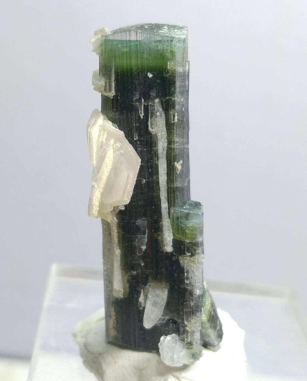 ARSAA GEMS AND MINERALSNatural top quality beautiful 15 grams double terminated green cap Tourmaline crystal - Premium  from ARSAA GEMS AND MINERALS - Just $80.00! Shop now at ARSAA GEMS AND MINERALS