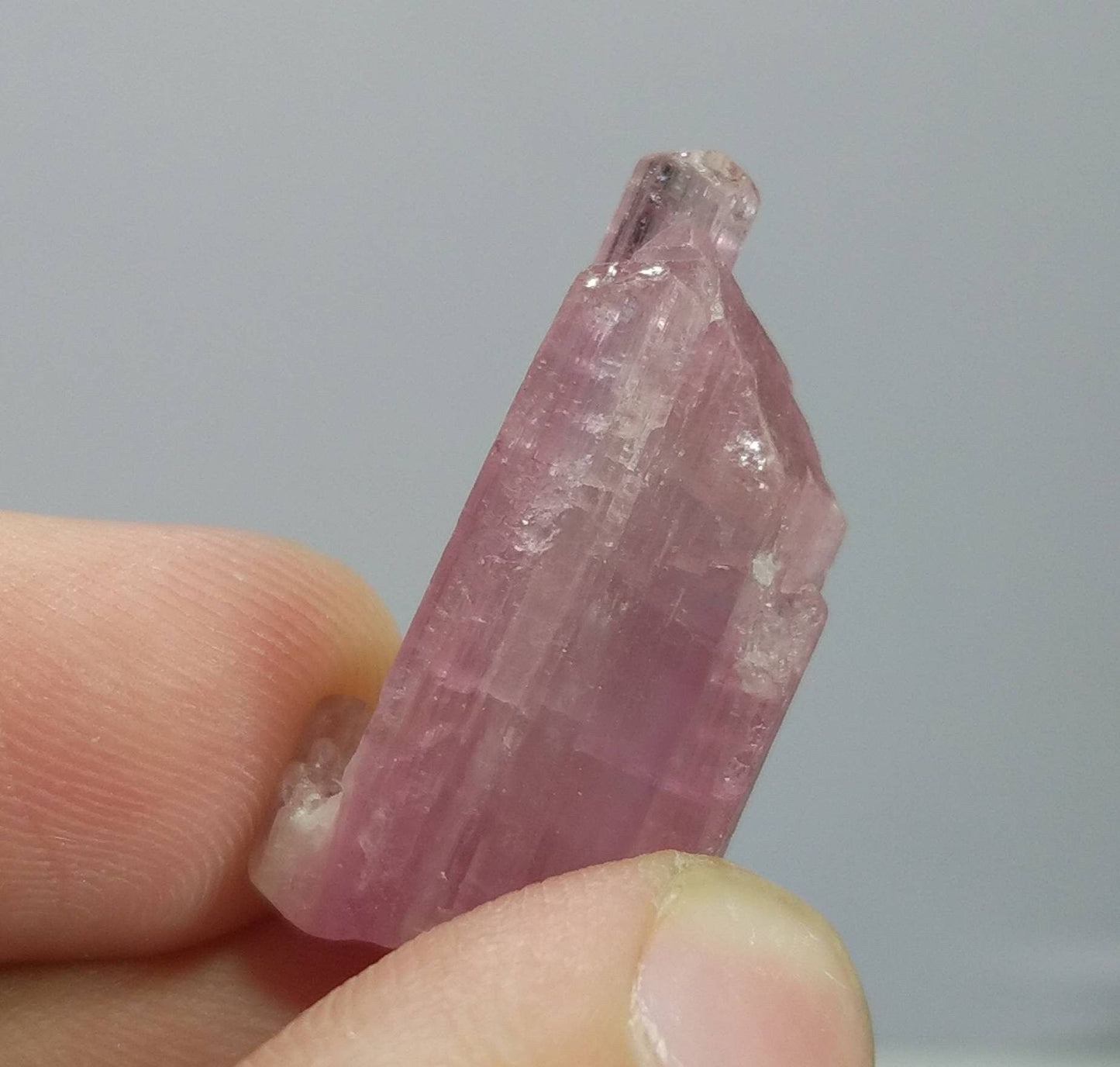 ARSAA GEMS AND MINERALSNatural top quality beautiful 4.6 grams terminated Pink Tourmaline crystal - Premium  from ARSAA GEMS AND MINERALS - Just $55.00! Shop now at ARSAA GEMS AND MINERALS