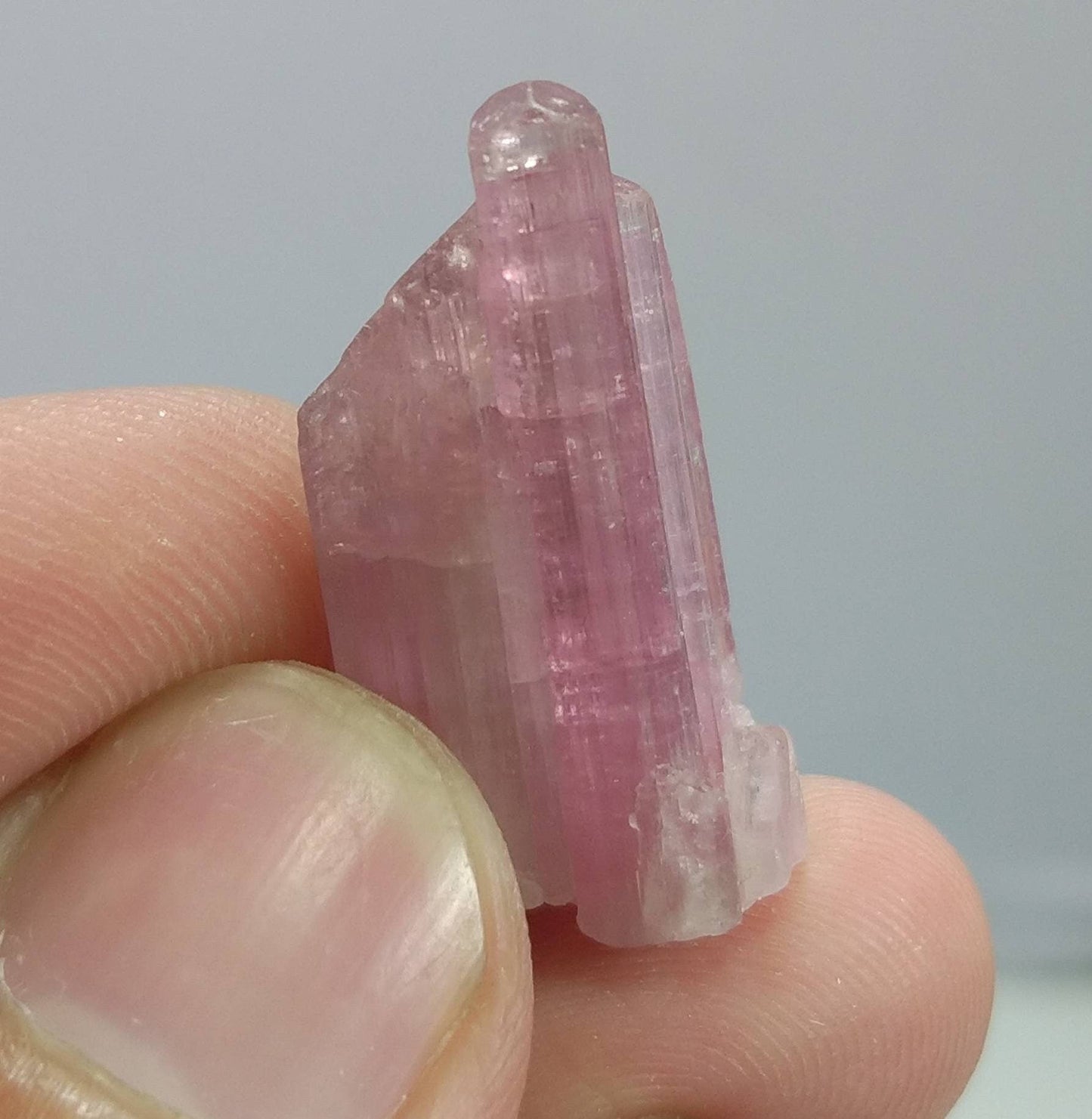 ARSAA GEMS AND MINERALSNatural top quality beautiful 4.6 grams terminated Pink Tourmaline crystal - Premium  from ARSAA GEMS AND MINERALS - Just $55.00! Shop now at ARSAA GEMS AND MINERALS