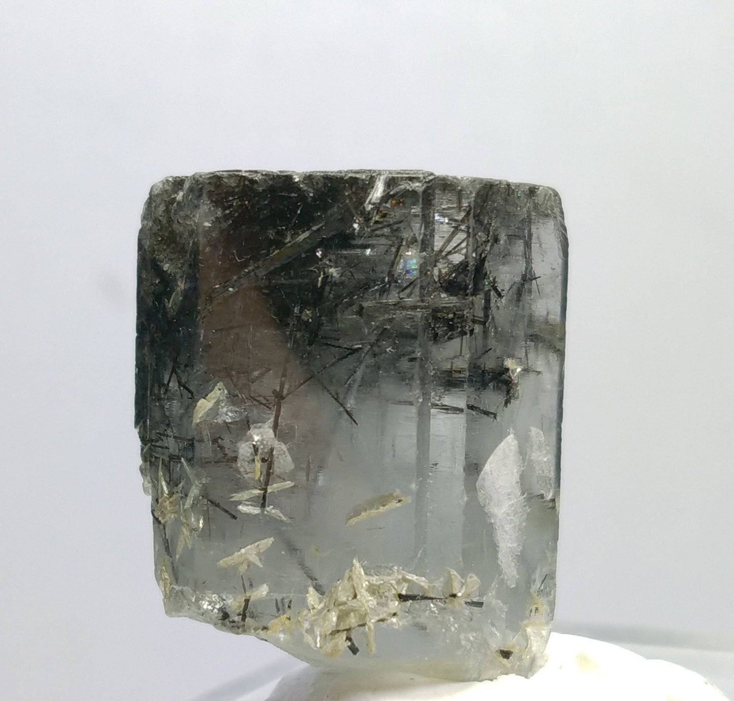 ARSAA GEMS AND MINERALSNatural top quality Very rare  terminated gemmy aquamarine included black tourmaline crystal - Premium  from ARSAA GEMS AND MINERALS - Just $100.00! Shop now at ARSAA GEMS AND MINERALS