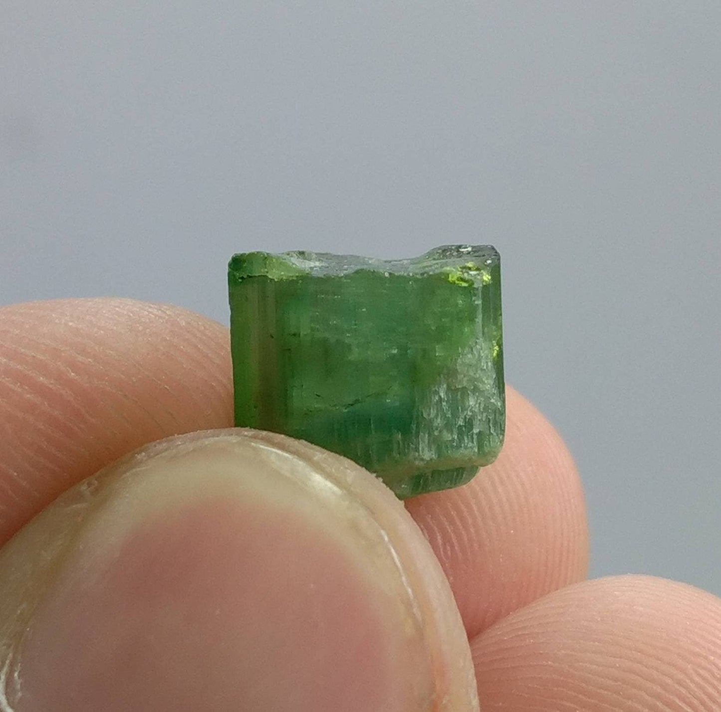 ARSAA GEMS AND MINERALSTop Quality beautiful natural 1.6 gram terminated green Tourmaline crystal - Premium  from ARSAA GEMS AND MINERALS - Just $15.00! Shop now at ARSAA GEMS AND MINERALS