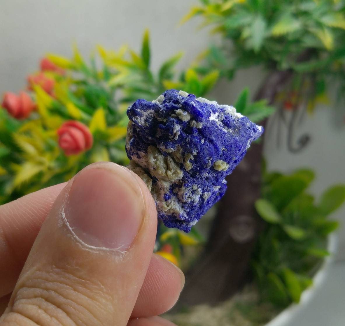 ARSAA GEMS AND MINERALSNatural fine quality beautiful 11.8 grams UV reactive lazurite specimen - Premium  from ARSAA GEMS AND MINERALS - Just $15.00! Shop now at ARSAA GEMS AND MINERALS