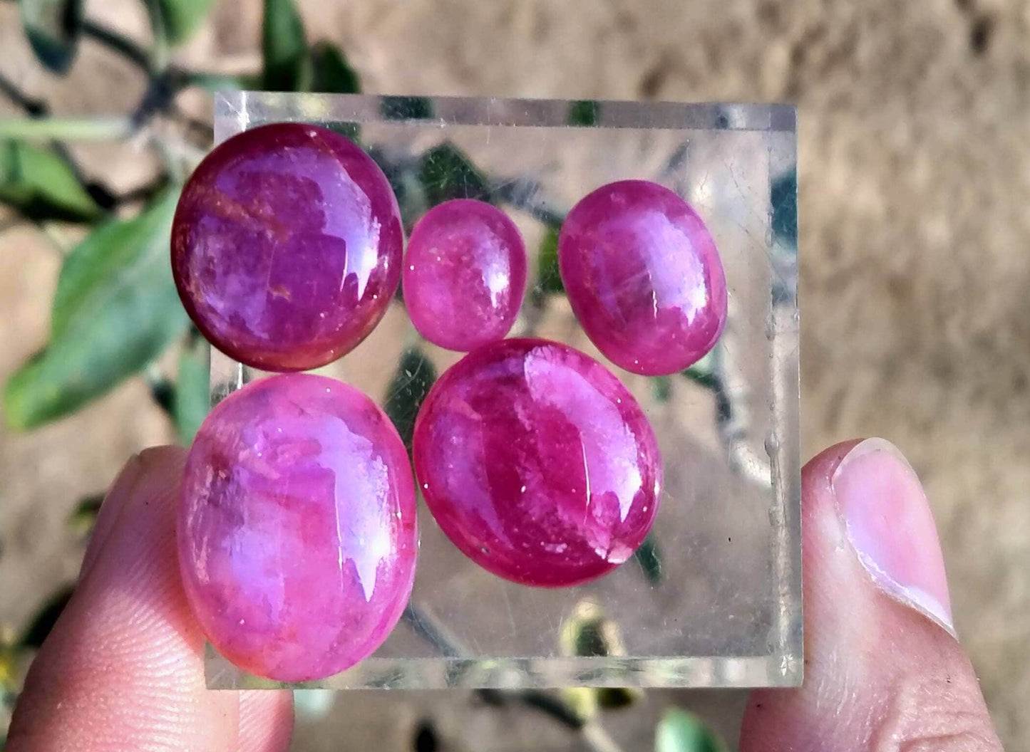 ARSAA GEMS AND MINERALSNatural top quality beautiful cabochons of Ruby Glass filled treated - Premium  from ARSAA GEMS AND MINERALS - Just $30.00! Shop now at ARSAA GEMS AND MINERALS