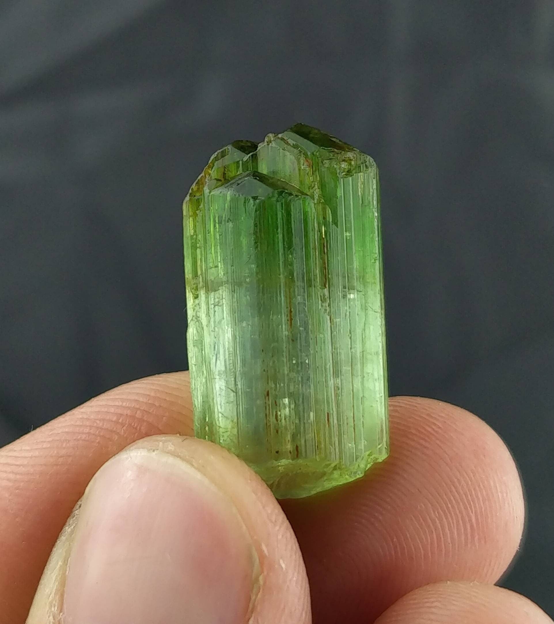 ARSAA GEMS AND MINERALSBicolor terminated tourmaline crystal 6.1 grams weight from Africa - Premium  from ARSAA GEMS AND MINERALS - Just $90.00! Shop now at ARSAA GEMS AND MINERALS