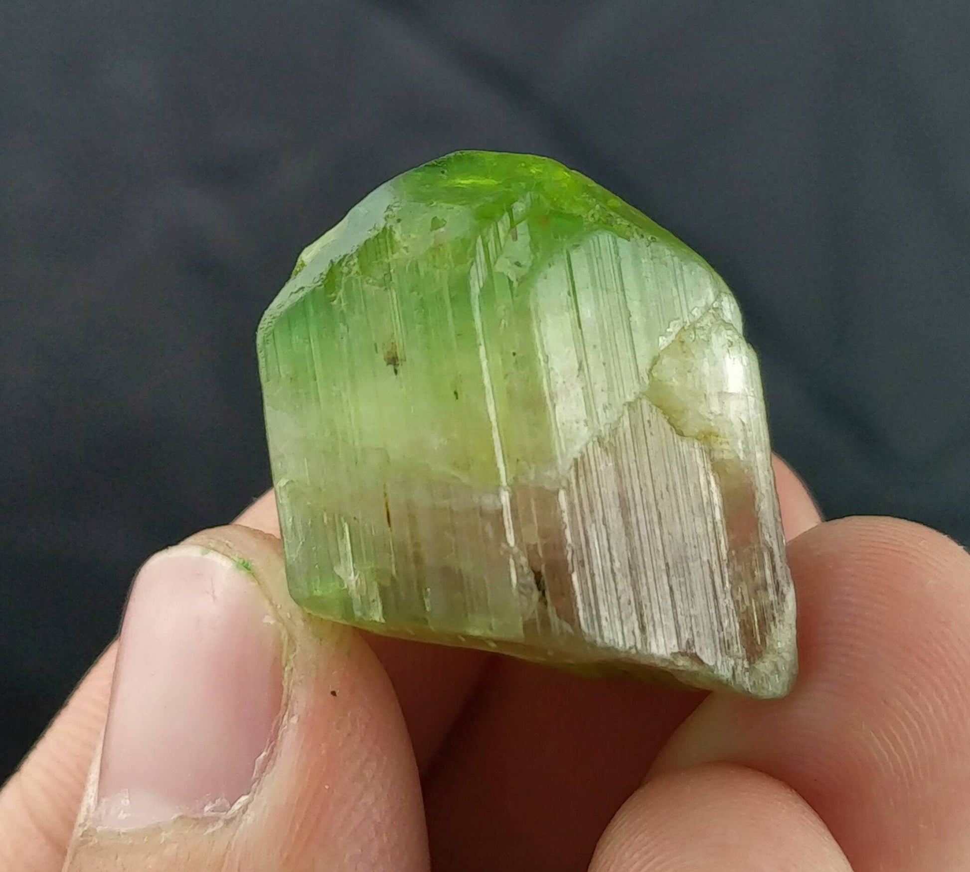 ARSAA GEMS AND MINERALSMulticolor terminated tourmaline crystal 18.5 grams weight from Africa - Premium  from ARSAA GEMS AND MINERALS - Just $360.00! Shop now at ARSAA GEMS AND MINERALS