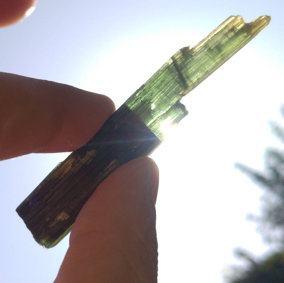 ARSAA GEMS AND MINERALSNatural top quality beautiful 14.8 grams double terminated double sided green cap Tourmaline crystal - Premium  from ARSAA GEMS AND MINERALS - Just $65.00! Shop now at ARSAA GEMS AND MINERALS