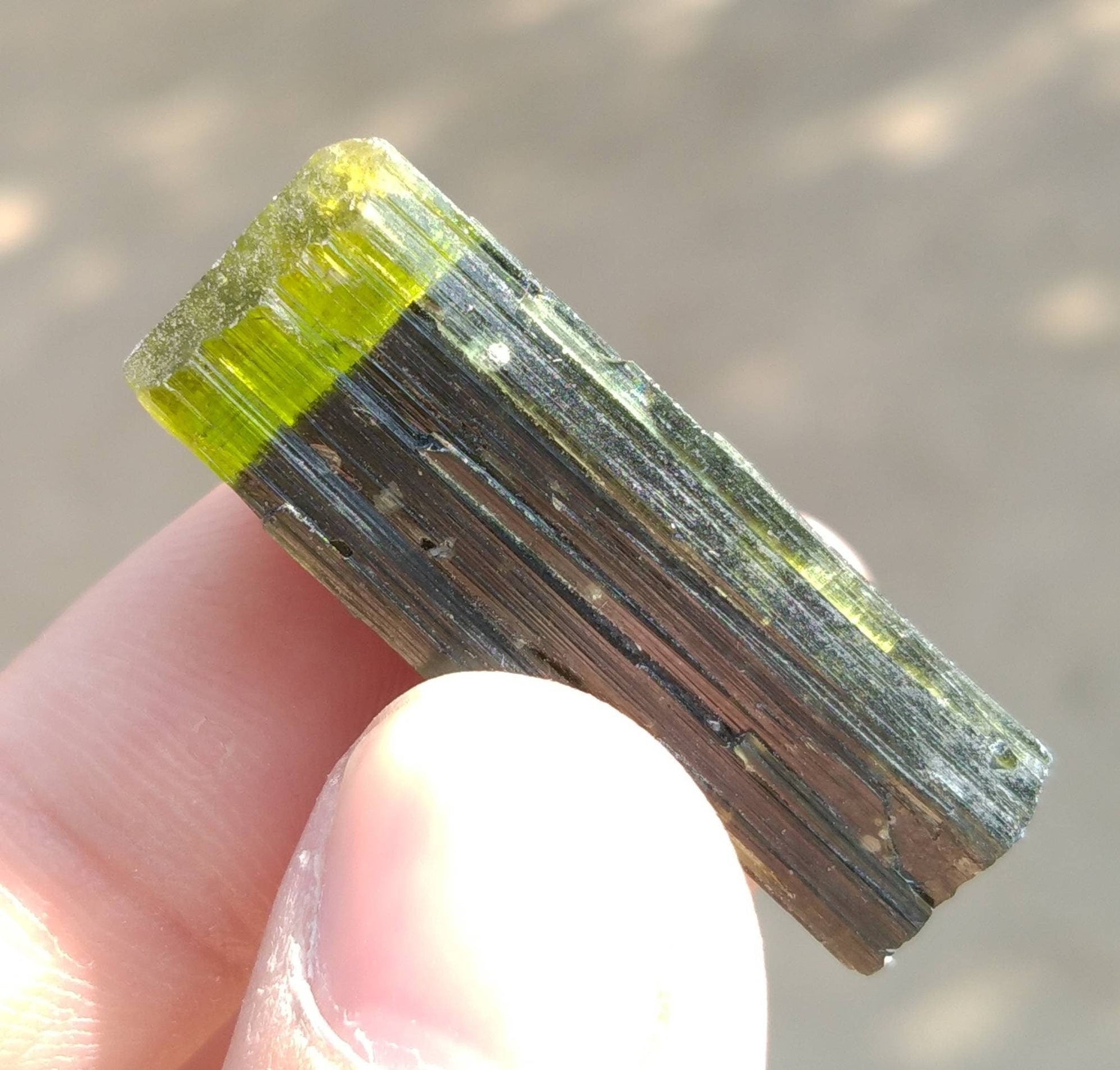 ARSAA GEMS AND MINERALSNatural top quality beautiful 14 grams terminated green cap Tourmaline crystal - Premium  from ARSAA GEMS AND MINERALS - Just $65.00! Shop now at ARSAA GEMS AND MINERALS