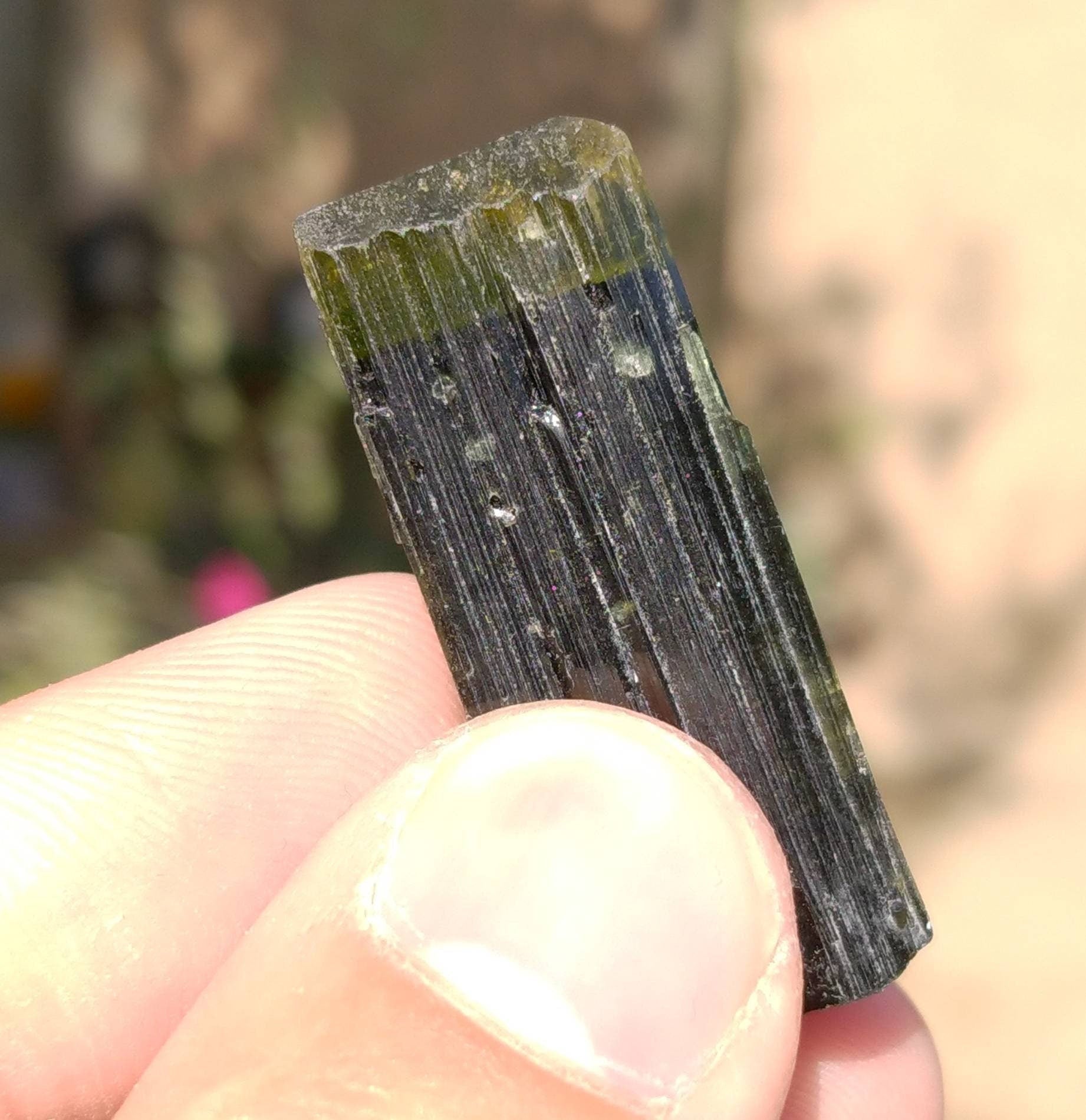 ARSAA GEMS AND MINERALSNatural top quality beautiful 14 grams terminated green cap Tourmaline crystal - Premium  from ARSAA GEMS AND MINERALS - Just $65.00! Shop now at ARSAA GEMS AND MINERALS