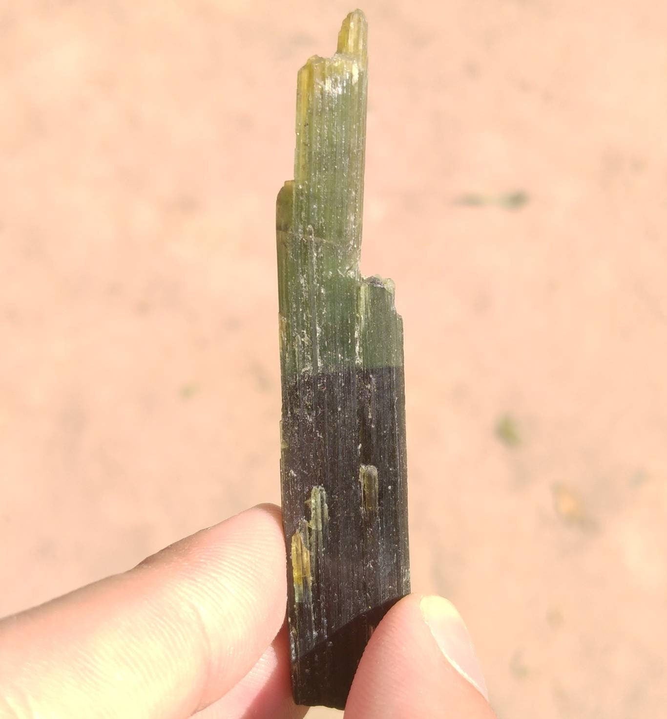 ARSAA GEMS AND MINERALSNatural top quality beautiful 14.8 grams double terminated double sided green cap Tourmaline crystal - Premium  from ARSAA GEMS AND MINERALS - Just $65.00! Shop now at ARSAA GEMS AND MINERALS