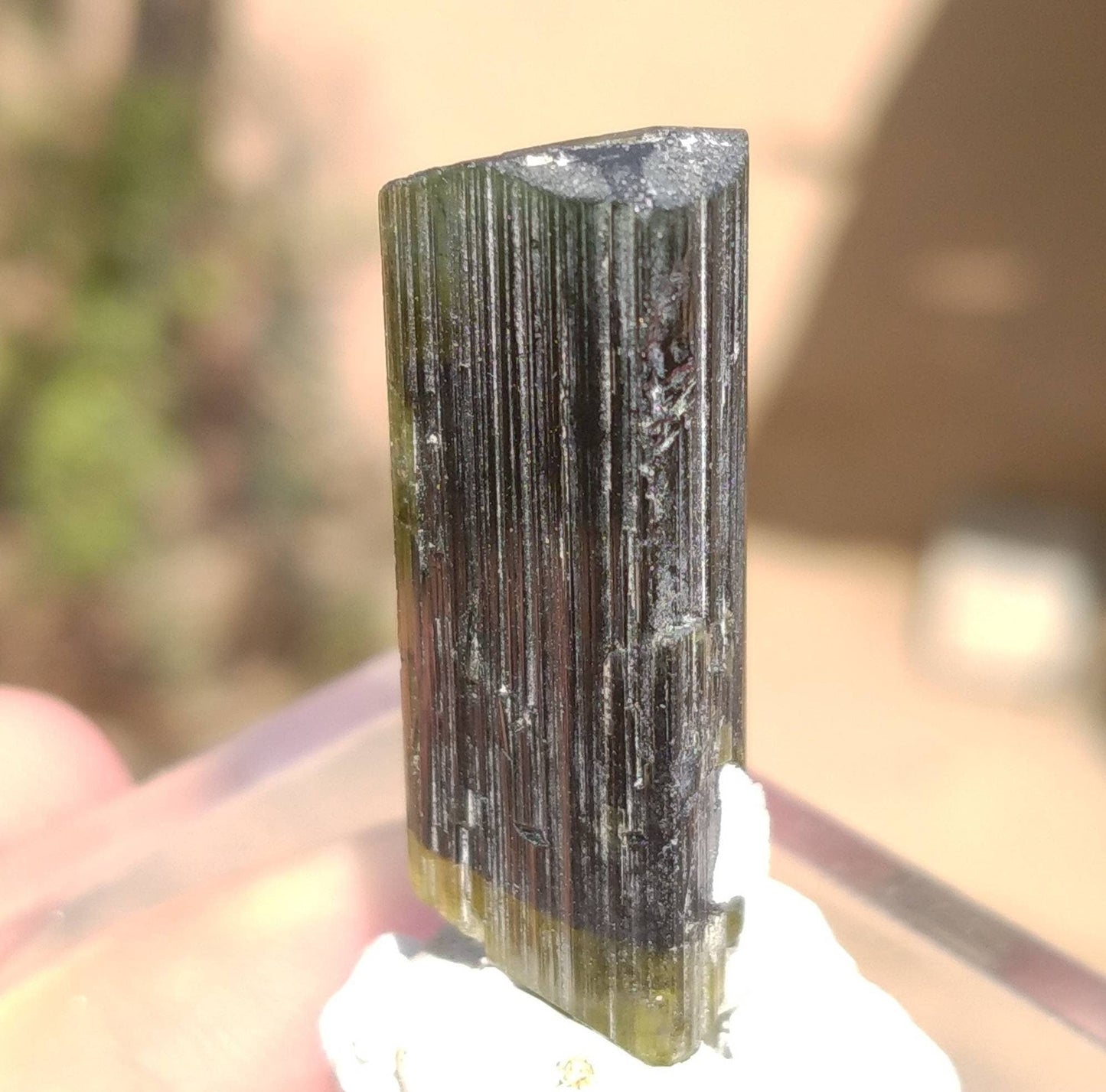 ARSAA GEMS AND MINERALSNatural top quality beautiful 8.4 grams double terminated double sided green cap Tourmaline crystal - Premium  from ARSAA GEMS AND MINERALS - Just $44.00! Shop now at ARSAA GEMS AND MINERALS