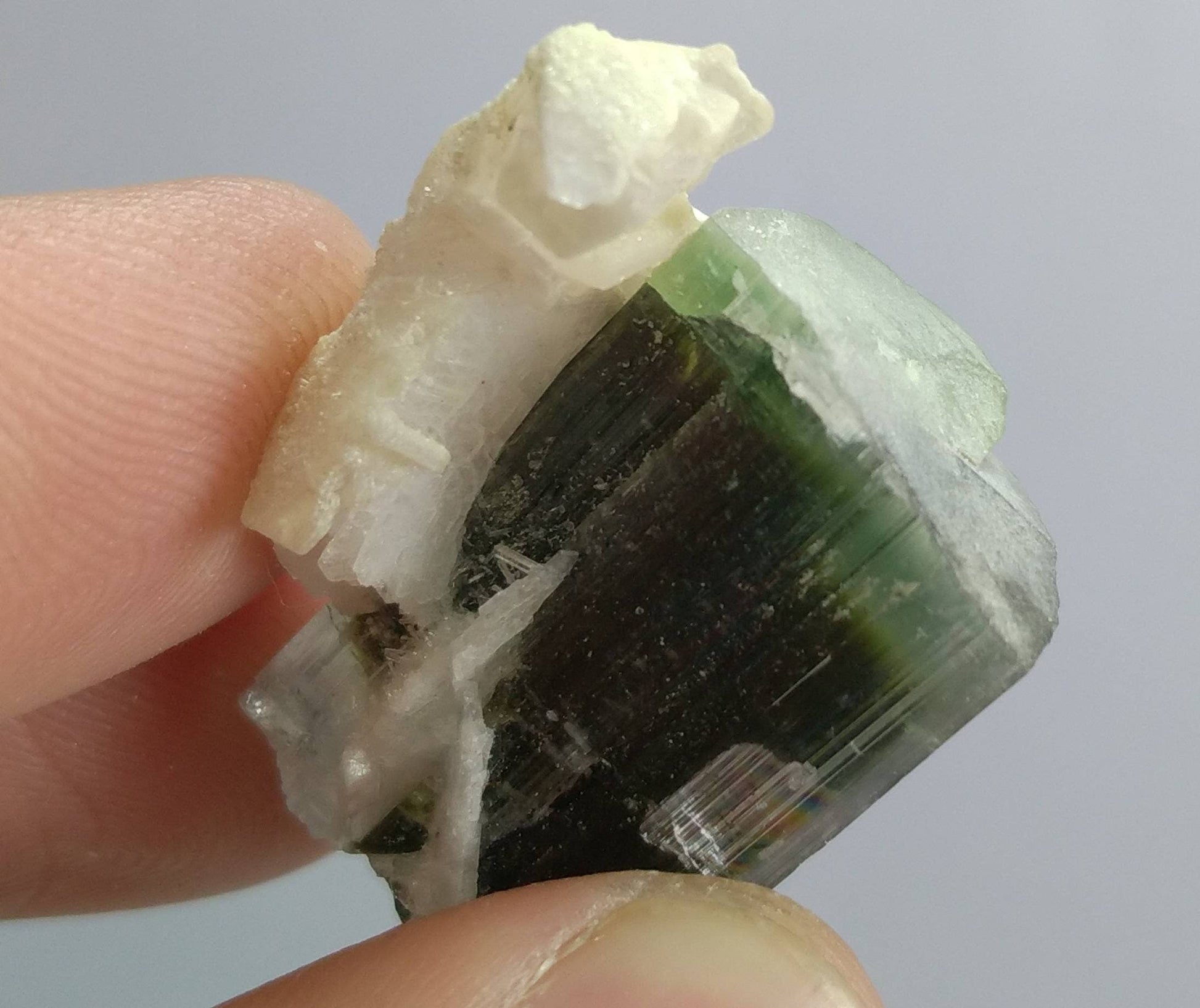 ARSAA GEMS AND MINERALSNatural top quality beautiful 12.7 grams terminated green cap Tourmaline crystal - Premium  from ARSAA GEMS AND MINERALS - Just $60.00! Shop now at ARSAA GEMS AND MINERALS