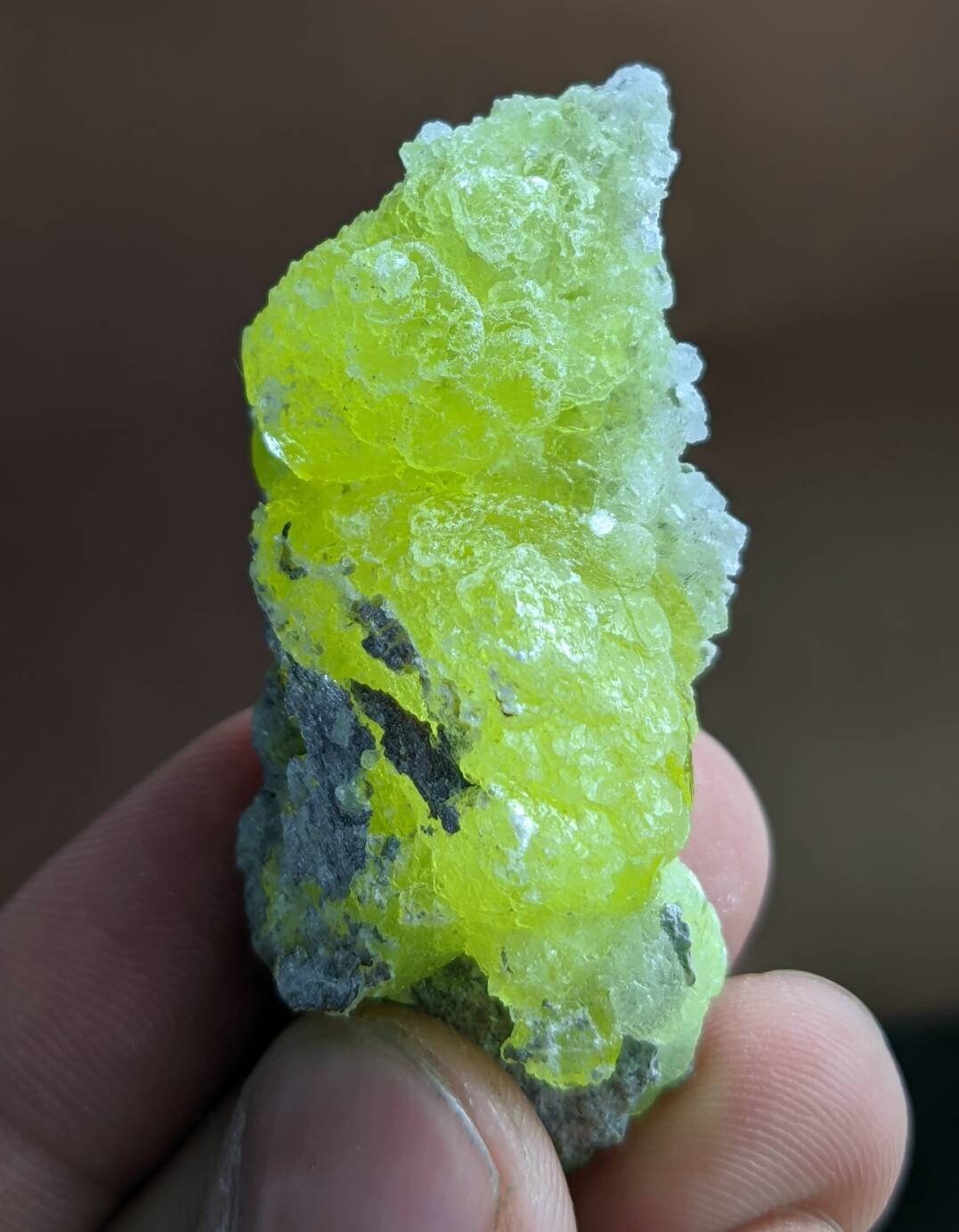 ARSAA GEMS AND MINERALSNatural beautiful 18.7 grams brucite specimen from Balochistan Pakistan - Premium  from ARSAA GEMS AND MINERALS - Just $25.00! Shop now at ARSAA GEMS AND MINERALS