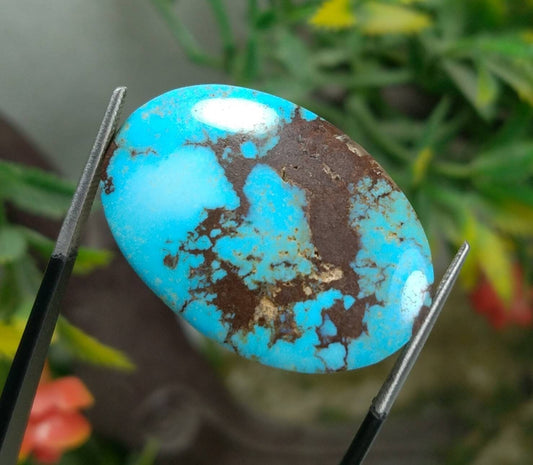 ARSAA GEMS AND MINERALSTop Quality and natural 19 carats beautiful Egyptian turquoise cabochon - Premium  from ARSAA GEMS AND MINERALS - Just $25.00! Shop now at ARSAA GEMS AND MINERALS