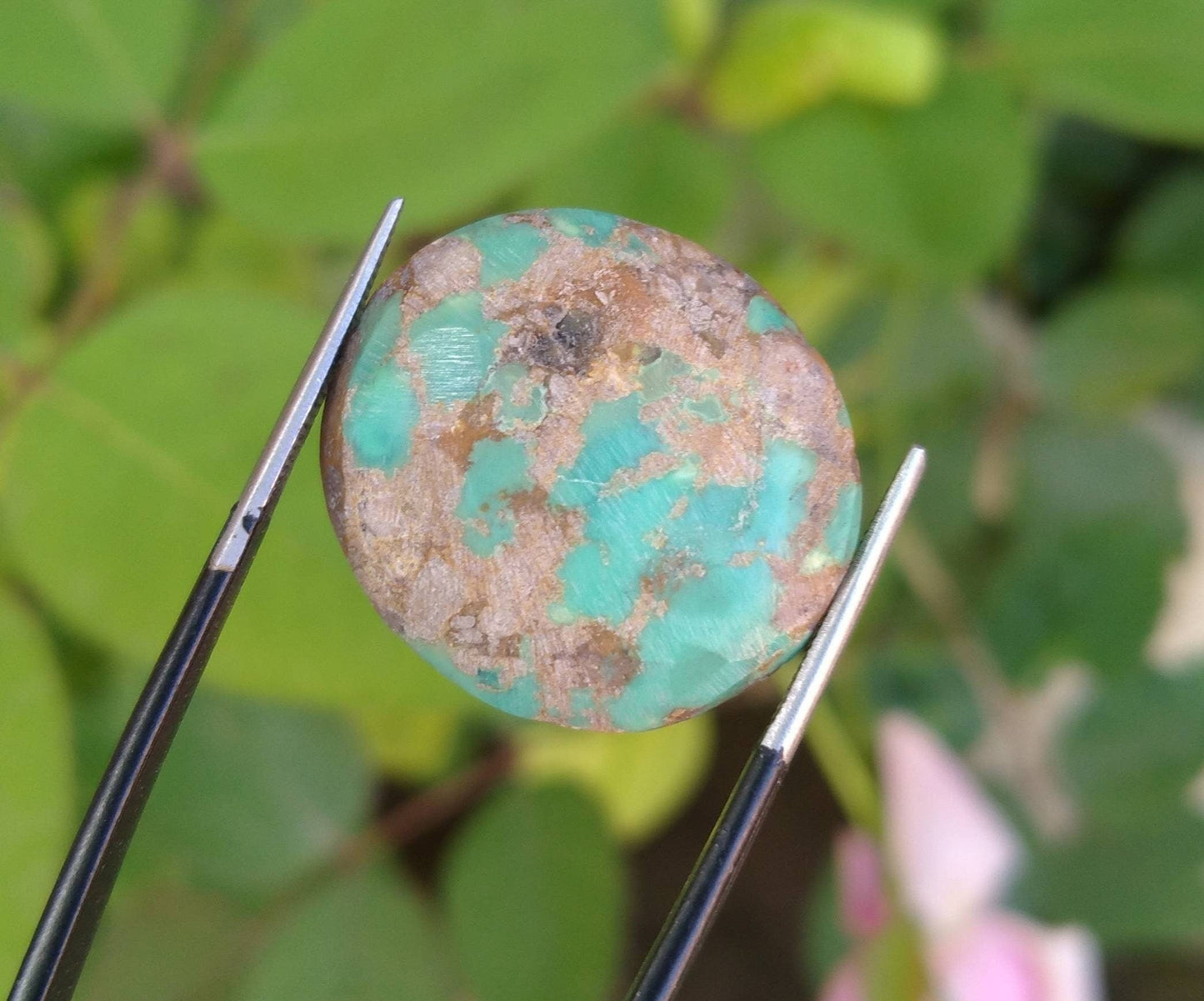 ARSAA GEMS AND MINERALSNatural fine quality beautiful 26 carats round shape untreated unheated green turquoise cabochon - Premium  from ARSAA GEMS AND MINERALS - Just $26.00! Shop now at ARSAA GEMS AND MINERALS