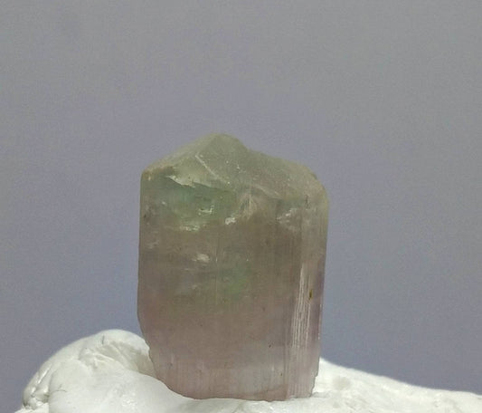 ARSAA GEMS AND MINERALSNatural fine quality beautiful 2.1 gram bicolor Tourmaline crystal - Premium  from ARSAA GEMS AND MINERALS - Just $20.00! Shop now at ARSAA GEMS AND MINERALS