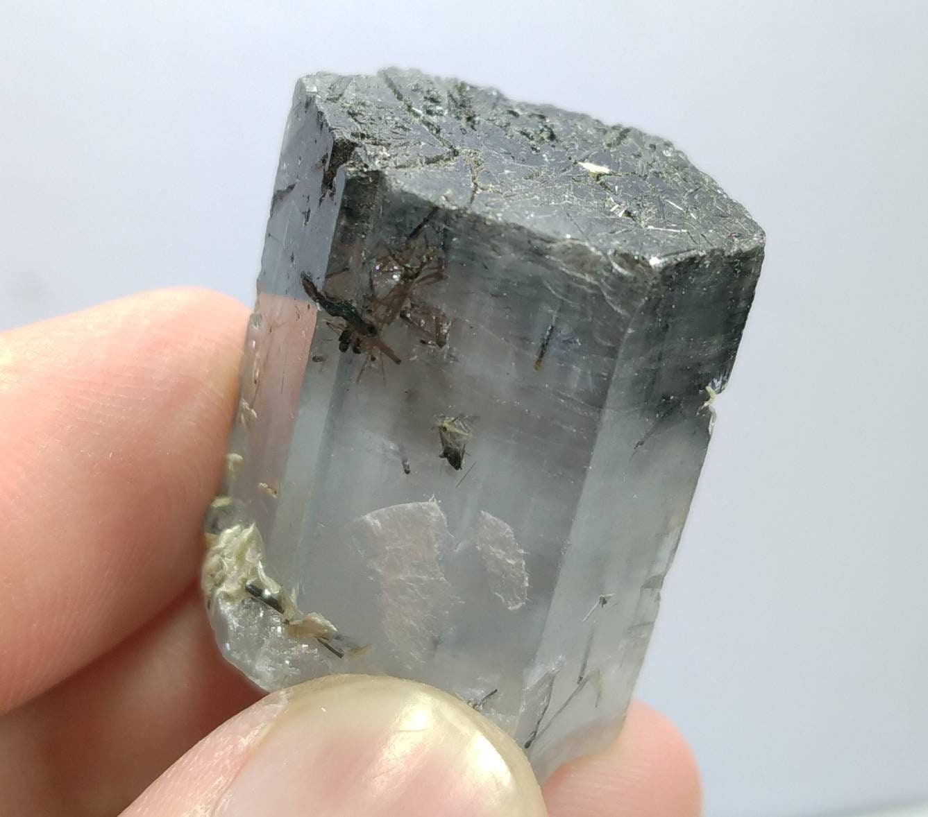 ARSAA GEMS AND MINERALSNatural top quality Very rare  terminated gemmy aquamarine included black tourmaline crystal - Premium  from ARSAA GEMS AND MINERALS - Just $100.00! Shop now at ARSAA GEMS AND MINERALS