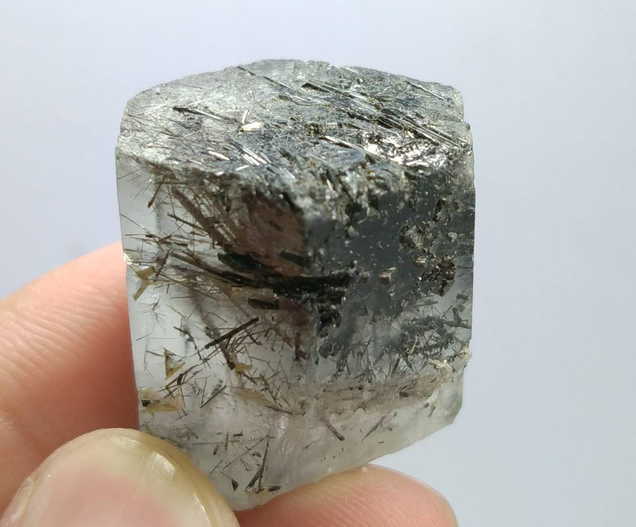ARSAA GEMS AND MINERALSNatural top quality Very rare  terminated gemmy aquamarine included black tourmaline crystal - Premium  from ARSAA GEMS AND MINERALS - Just $100.00! Shop now at ARSAA GEMS AND MINERALS