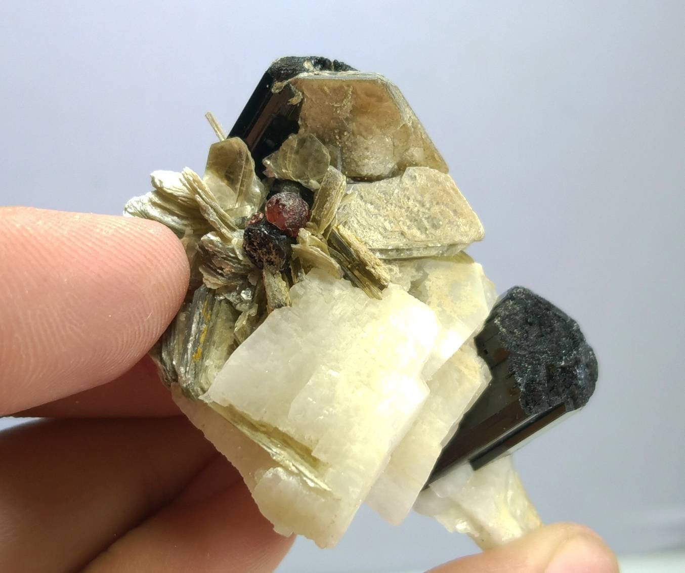 ARSAA GEMS AND MINERALSTop Quality beautiful natural 43.5 grams terminated cluster of black tourmaline with spessartine garnet Albite and muscovite mica - Premium  from ARSAA GEMS AND MINERALS - Just $60.00! Shop now at ARSAA GEMS AND MINERALS