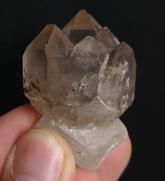 ARSAA GEMS AND MINERALSNatural top quality 44.5 garms very interesting rose of Scepter Quartz. The head is Smokey and is a cluster while the stem is clear quartz - Premium  from ARSAA GEMS AND MINERALS - Just $30.00! Shop now at ARSAA GEMS AND MINERALS