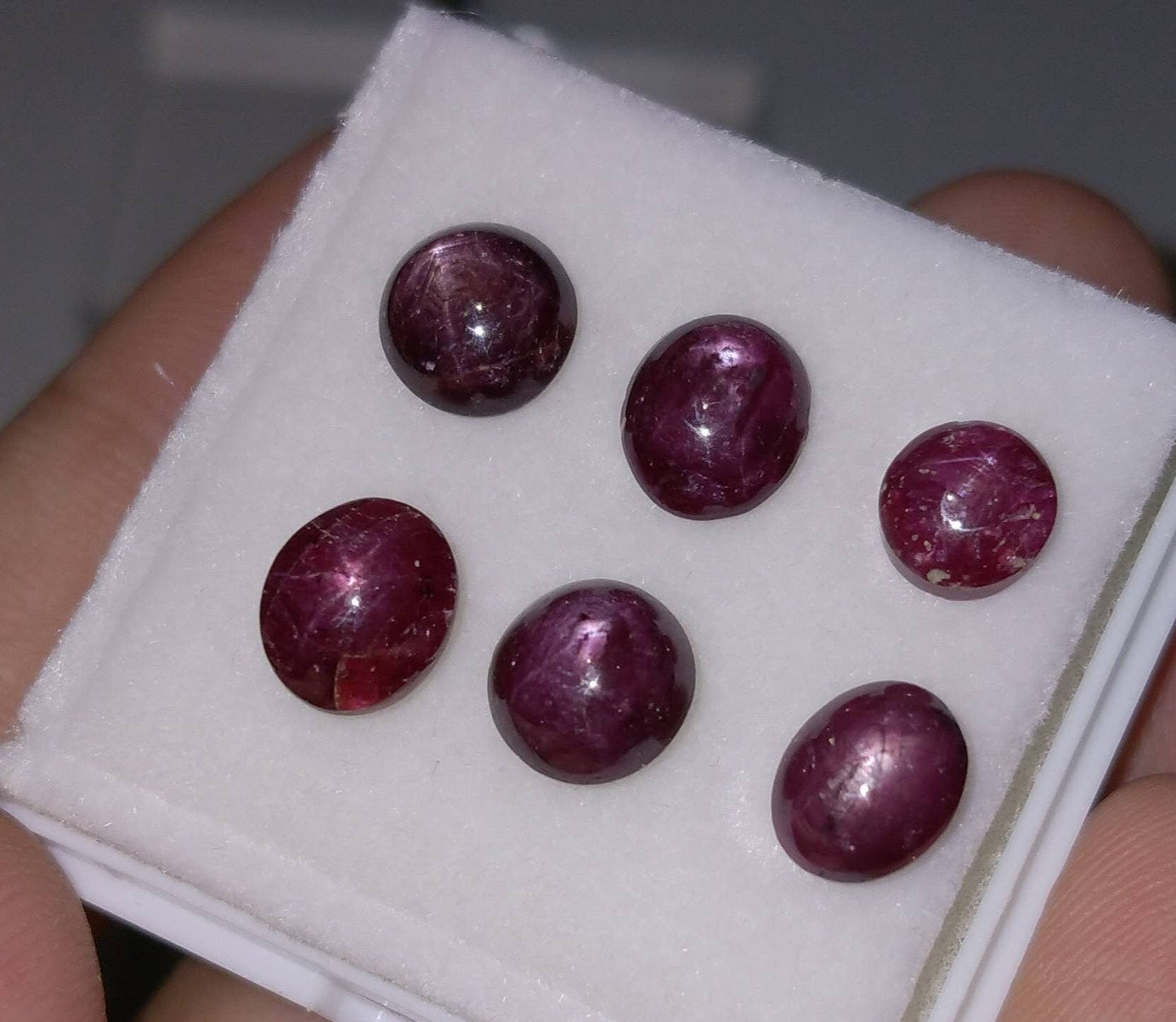 ARSAA GEMS AND MINERALSNatural top quality beautiful 19.6 carat small lot of star Ruby Cabochons - Premium  from ARSAA GEMS AND MINERALS - Just $40.00! Shop now at ARSAA GEMS AND MINERALS