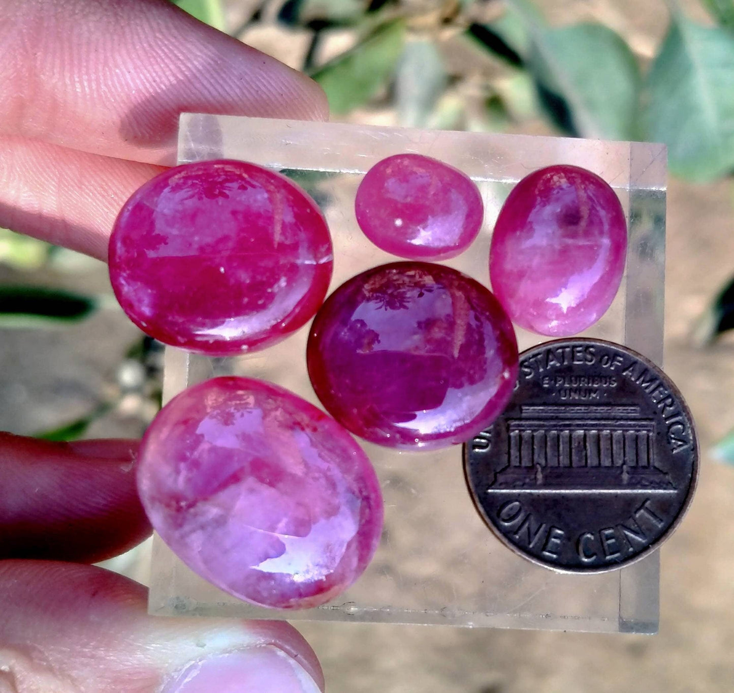 ARSAA GEMS AND MINERALSNatural top quality beautiful cabochons of Ruby Glass filled treated - Premium  from ARSAA GEMS AND MINERALS - Just $30.00! Shop now at ARSAA GEMS AND MINERALS