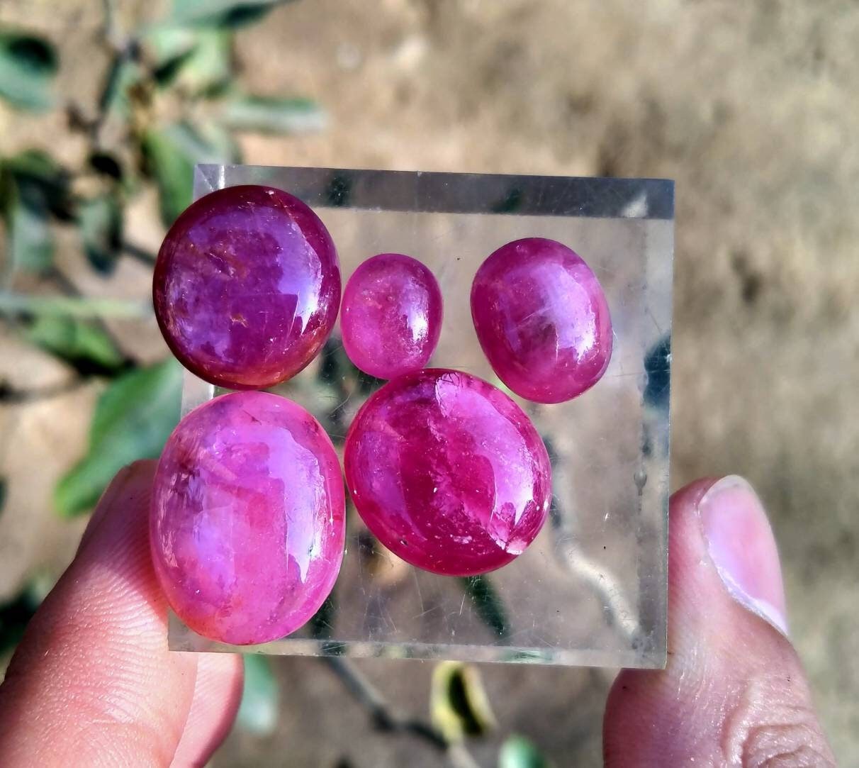 ARSAA GEMS AND MINERALSNatural top quality beautiful cabochons of Ruby Glass filled treated - Premium  from ARSAA GEMS AND MINERALS - Just $30.00! Shop now at ARSAA GEMS AND MINERALS