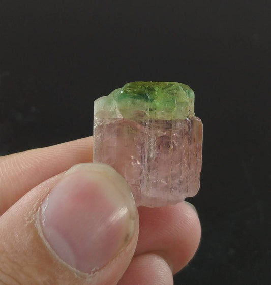 ARSAA GEMS AND MINERALSBicolor watermelon terminated tourmaline crystal 5.5 grams weight from Africa - Premium  from ARSAA GEMS AND MINERALS - Just $100.00! Shop now at ARSAA GEMS AND MINERALS