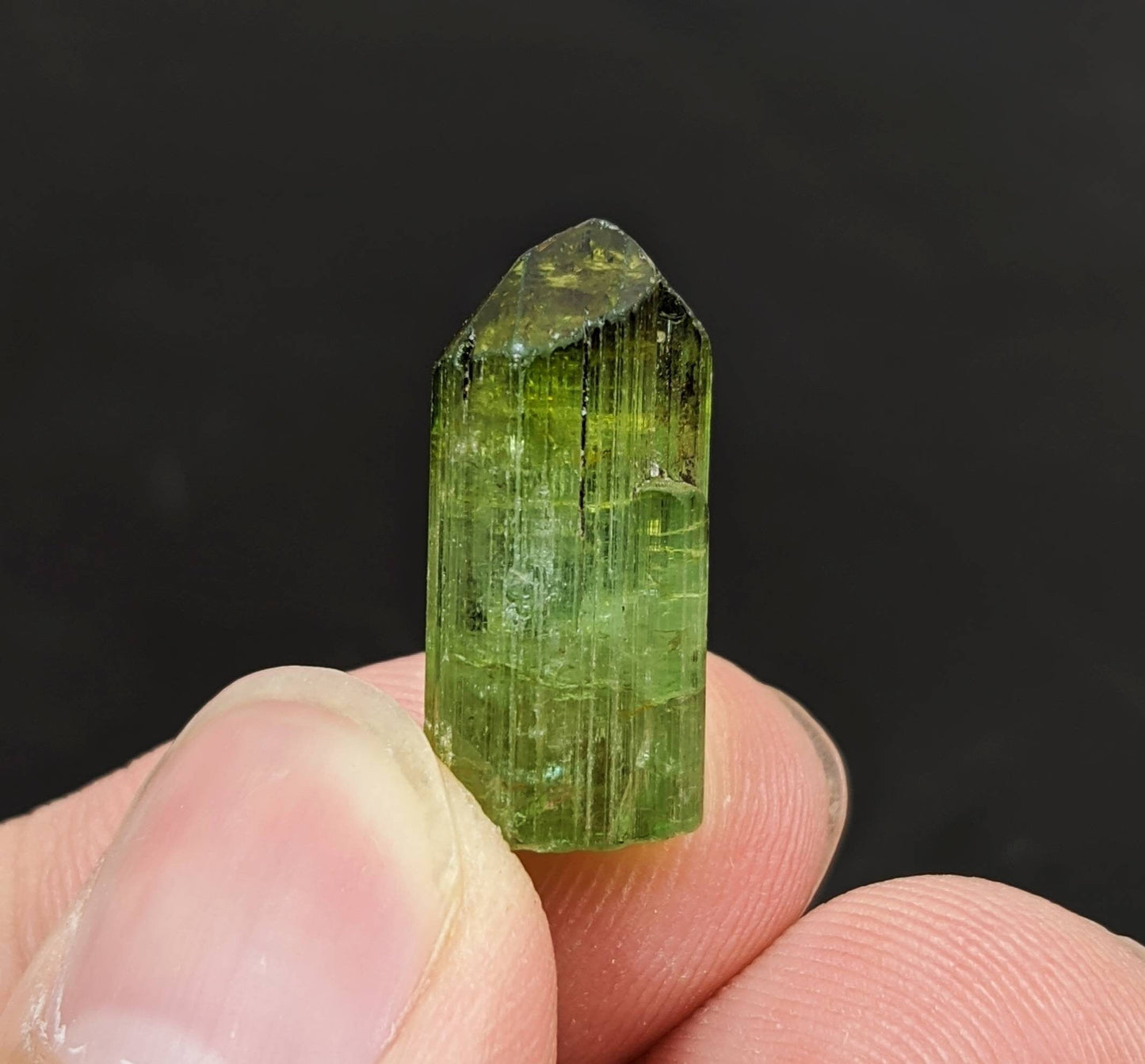 ARSAA GEMS AND MINERALSFine Quality beautiful natural 2.6 gram terminated green Tourmaline crystal from Africa - Premium  from ARSAA GEMS AND MINERALS - Just $26.00! Shop now at ARSAA GEMS AND MINERALS