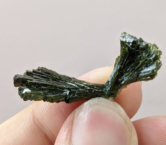 ARSAA GEMS AND MINERALSNatural aesthetic bowtie Epidote terminated crystal from Pakistan, weight: 3 grams - Premium  from ARSAA GEMS AND MINERALS - Just $15.00! Shop now at ARSAA GEMS AND MINERALS