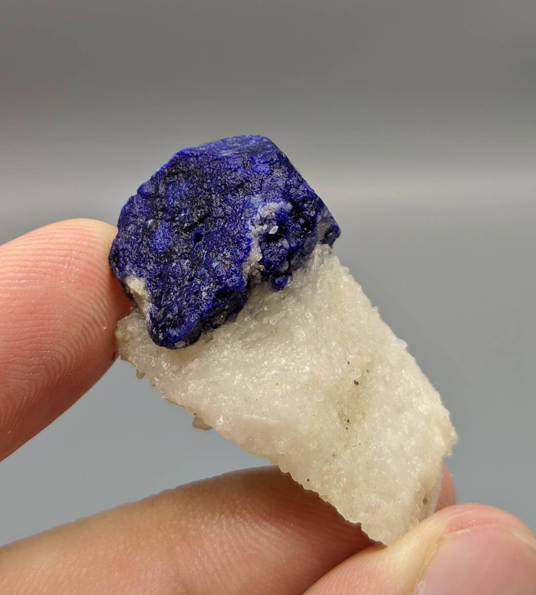 ARSAA GEMS AND MINERALSBeautiful well formed Lazurite crystal perched on white calcite matrix from Afghanistan, weight 11.5 grams - Premium  from ARSAA GEMS AND MINERALS - Just $45.00! Shop now at ARSAA GEMS AND MINERALS