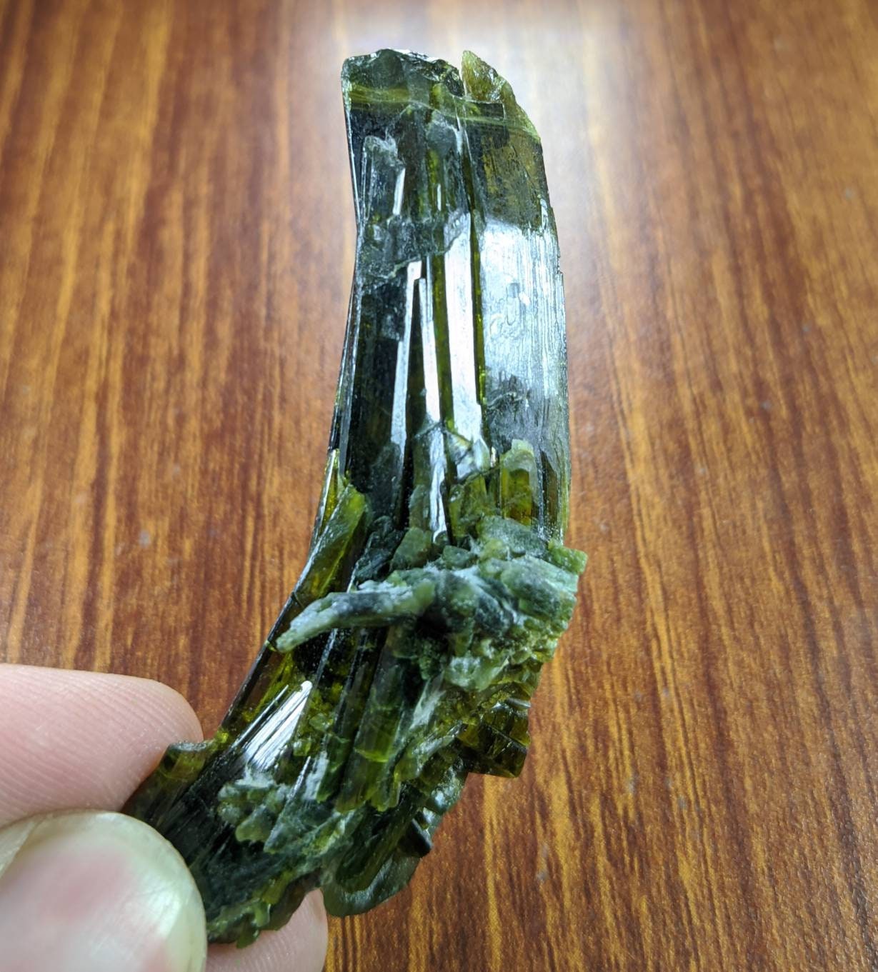 ARSAA GEMS AND MINERALSNatural clear aesthetic 23 gram Beautiful translucent pleochroic bended epidote crystal from KP Pakistan - Premium  from ARSAA GEMS AND MINERALS - Just $35.00! Shop now at ARSAA GEMS AND MINERALS