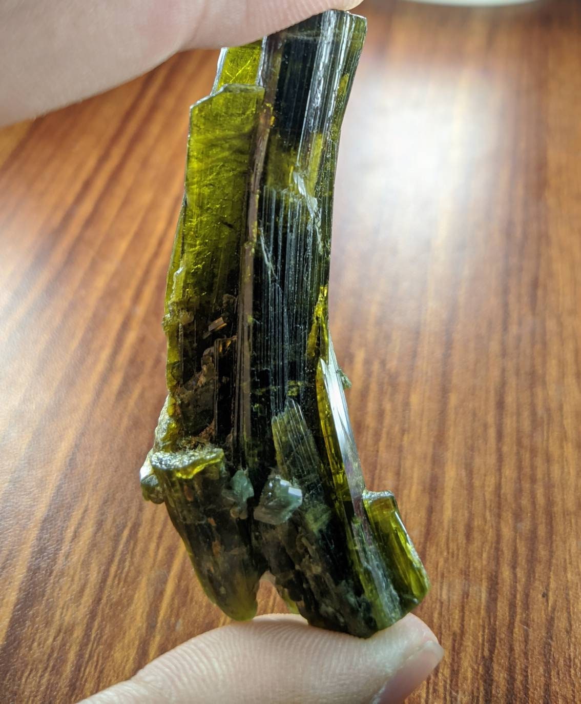 ARSAA GEMS AND MINERALSNatural clear aesthetic 23 gram Beautiful translucent pleochroic bended epidote crystal from KP Pakistan - Premium  from ARSAA GEMS AND MINERALS - Just $35.00! Shop now at ARSAA GEMS AND MINERALS