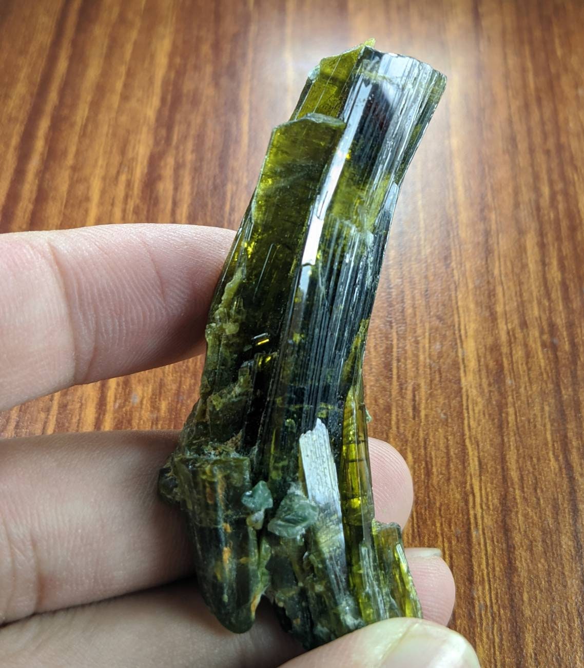 ARSAA GEMS AND MINERALSNatural clear aesthetic 23 gram Beautiful translucent pleochroic bended epidote crystal from KP Pakistan - Premium  from ARSAA GEMS AND MINERALS - Just $35.00! Shop now at ARSAA GEMS AND MINERALS