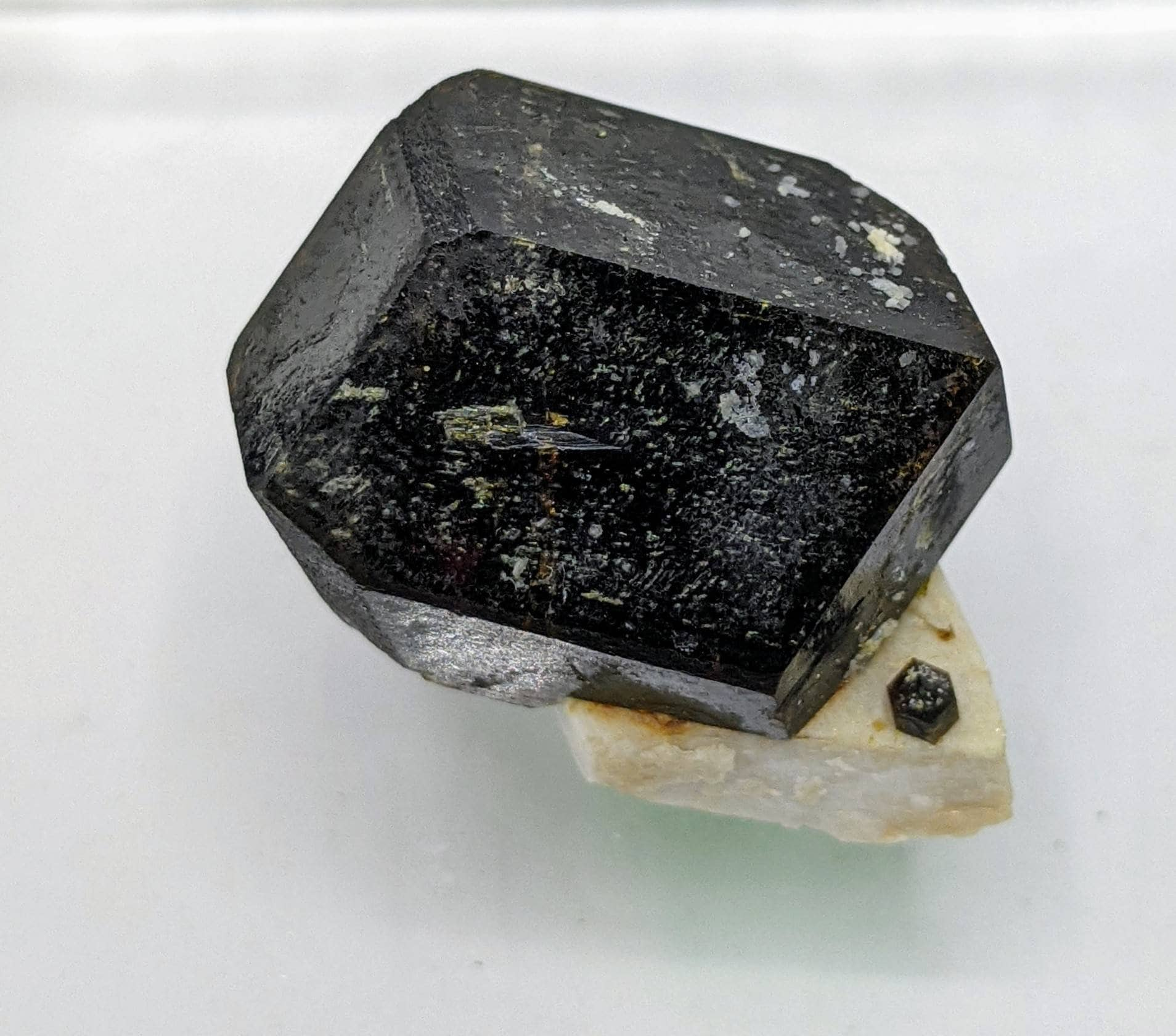 ARSAA GEMS AND MINERALSOn matrix andradite garnet crystal from Pakistan, 13.9 grams - Premium  from ARSAA GEMS AND MINERALS - Just $40.00! Shop now at ARSAA GEMS AND MINERALS