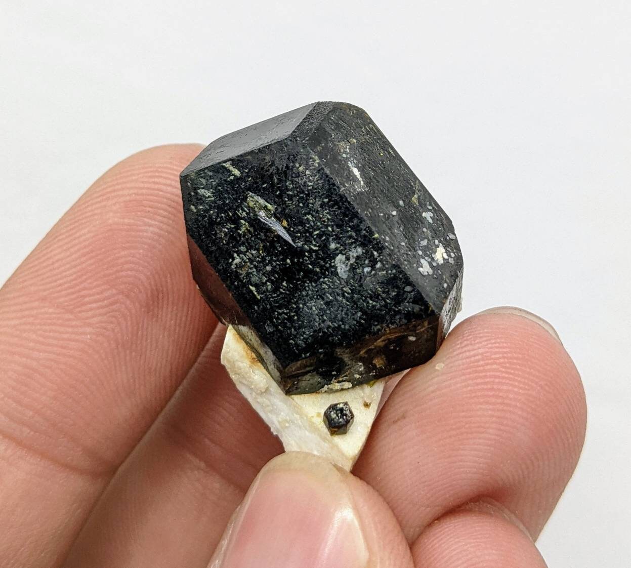 ARSAA GEMS AND MINERALSOn matrix andradite garnet crystal from Pakistan, 13.9 grams - Premium  from ARSAA GEMS AND MINERALS - Just $40.00! Shop now at ARSAA GEMS AND MINERALS