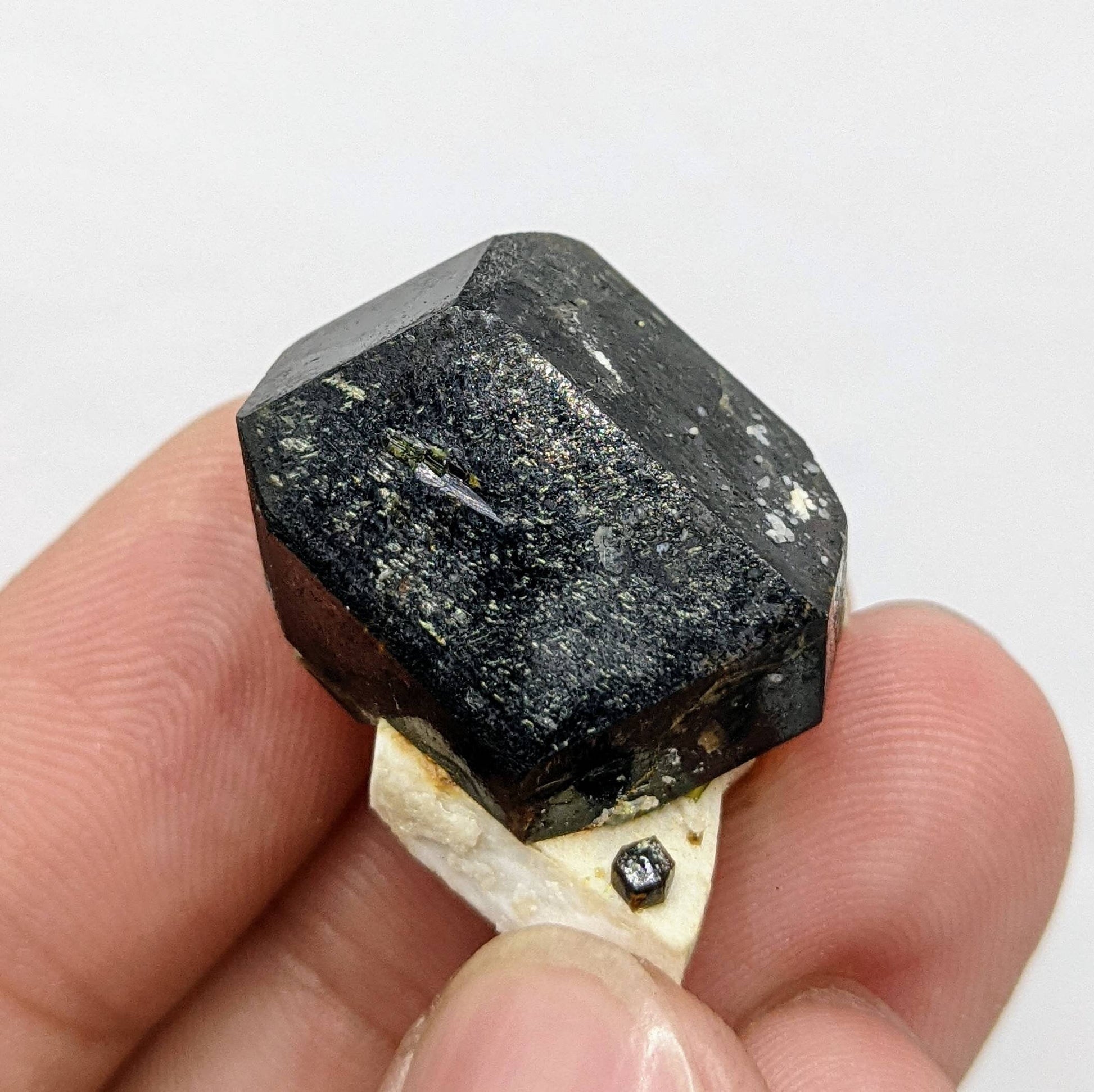 ARSAA GEMS AND MINERALSOn matrix andradite garnet crystal from Pakistan, 13.9 grams - Premium  from ARSAA GEMS AND MINERALS - Just $40.00! Shop now at ARSAA GEMS AND MINERALS