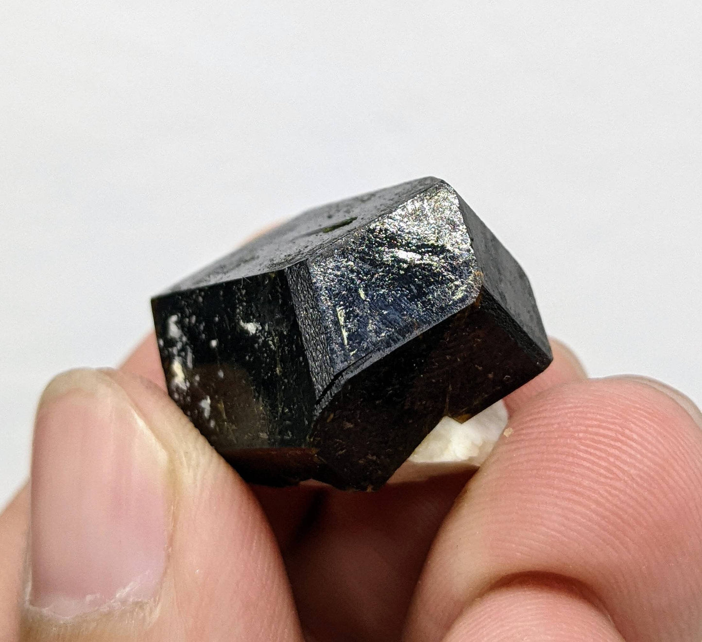 ARSAA GEMS AND MINERALSOn matrix andradite garnet crystal from Pakistan, 13.9 grams - Premium  from ARSAA GEMS AND MINERALS - Just $40.00! Shop now at ARSAA GEMS AND MINERALS