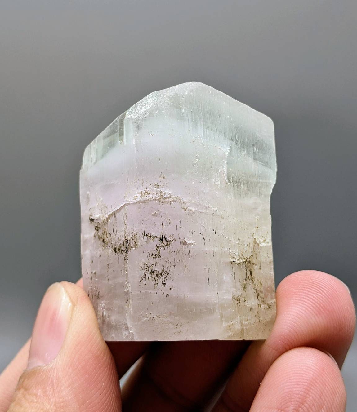 ARSAA GEMS AND MINERALSBicolor Spodumene var kunzite crystal from Laghman, Afghanistan, 59.4 grams - Premium  from ARSAA GEMS AND MINERALS - Just $100.00! Shop now at ARSAA GEMS AND MINERALS