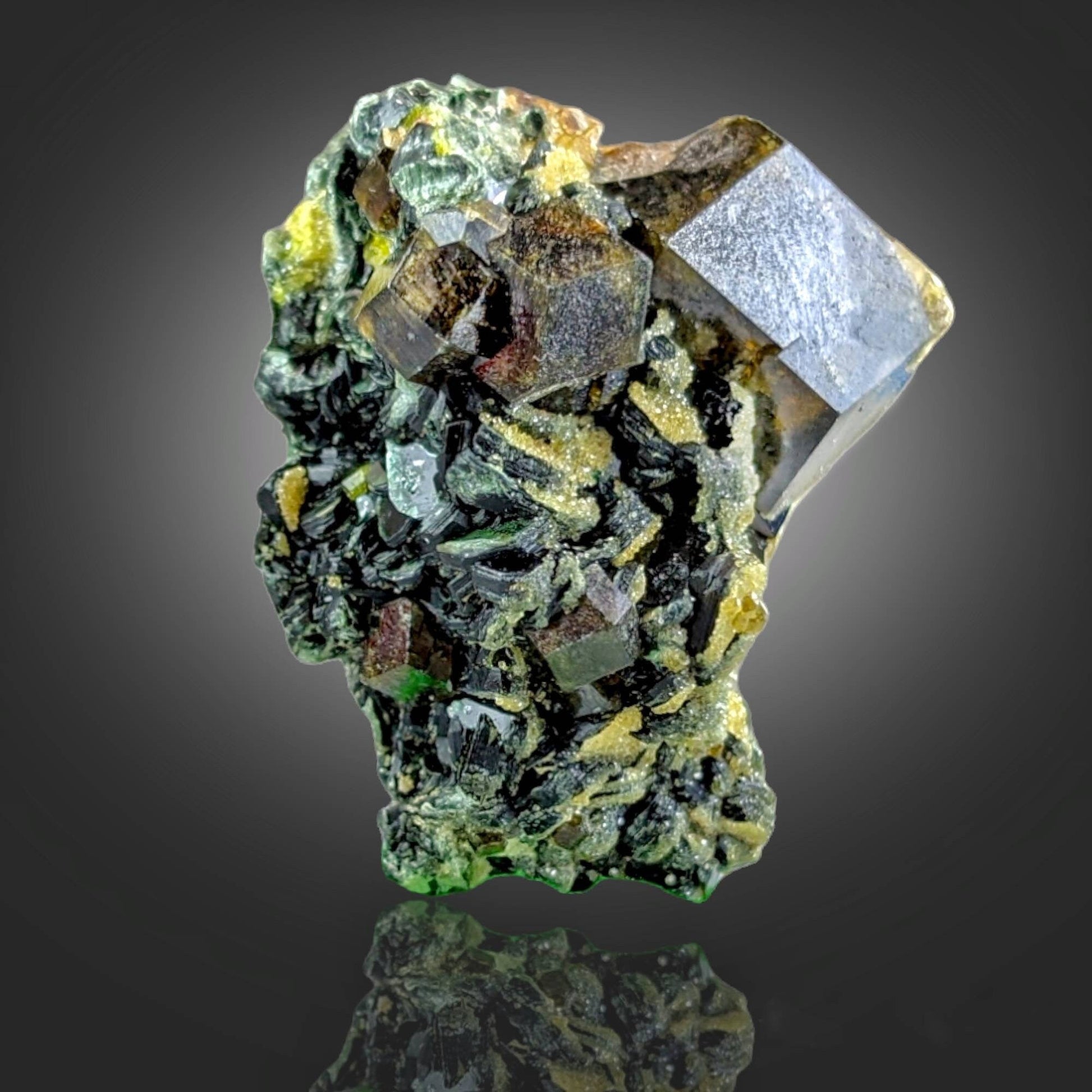 ARSAA GEMS AND MINERALSGarnet on matrix with green epidote and clinochlore from Afghanistan, 8.4 grams - Premium  from ARSAA GEMS AND MINERALS - Just $30.00! Shop now at ARSAA GEMS AND MINERALS