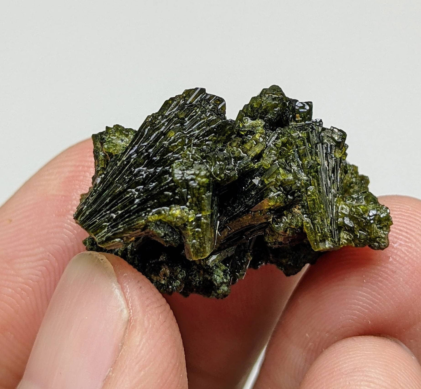 ARSAA GEMS AND MINERALSNatural green spray epidote cluster from Balochistan Pakistan, weight 11.3 grams - Premium  from ARSAA GEMS AND MINERALS - Just $20.00! Shop now at ARSAA GEMS AND MINERALS