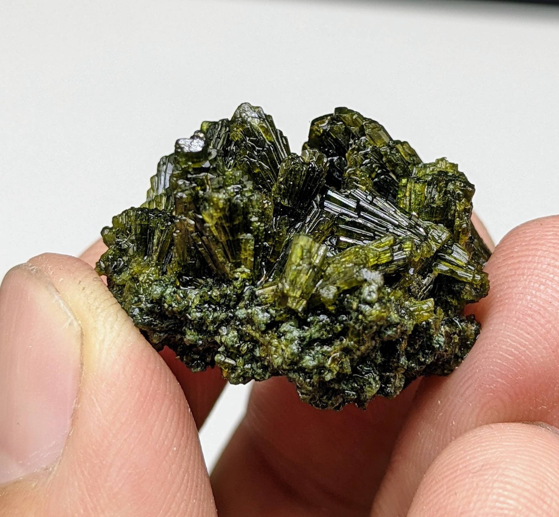 ARSAA GEMS AND MINERALSNatural green spray epidote cluster from Balochistan Pakistan, weight 11.3 grams - Premium  from ARSAA GEMS AND MINERALS - Just $20.00! Shop now at ARSAA GEMS AND MINERALS