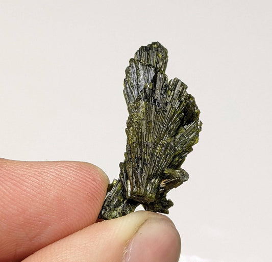 ARSAA GEMS AND MINERALSNatural green spray epidote cluster from Balochistan Pakistan, weight 5.6 grams - Premium  from ARSAA GEMS AND MINERALS - Just $15.00! Shop now at ARSAA GEMS AND MINERALS